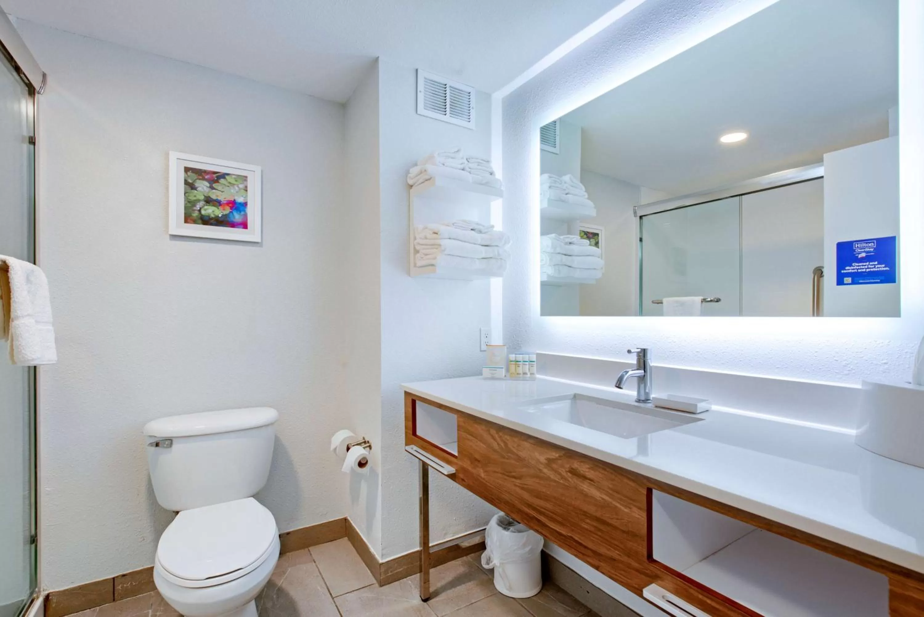 Bathroom in Hampton Inn Slidell