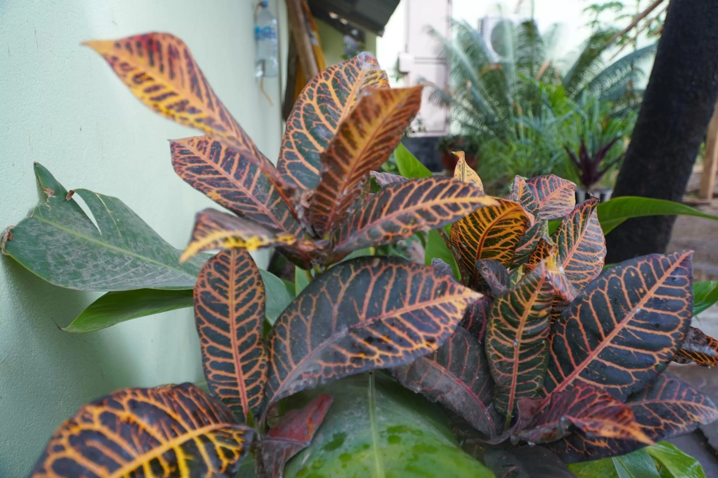 L&J Modern Backpackers Kinondoni