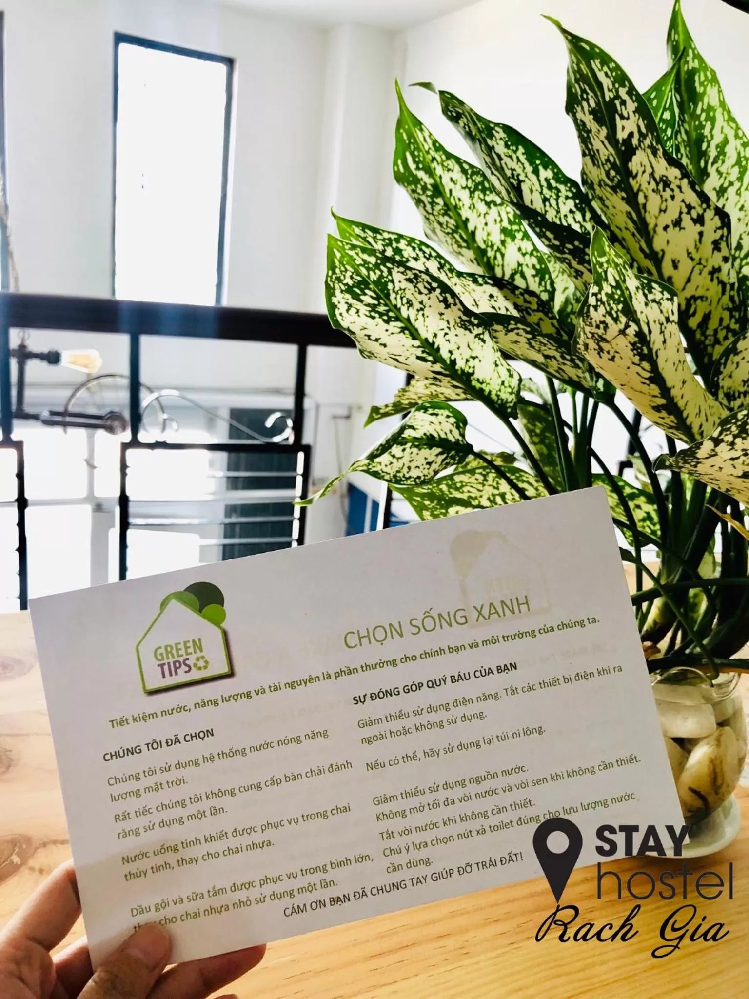 Property logo or sign in STAY hostel 2 - 350m from the ferry