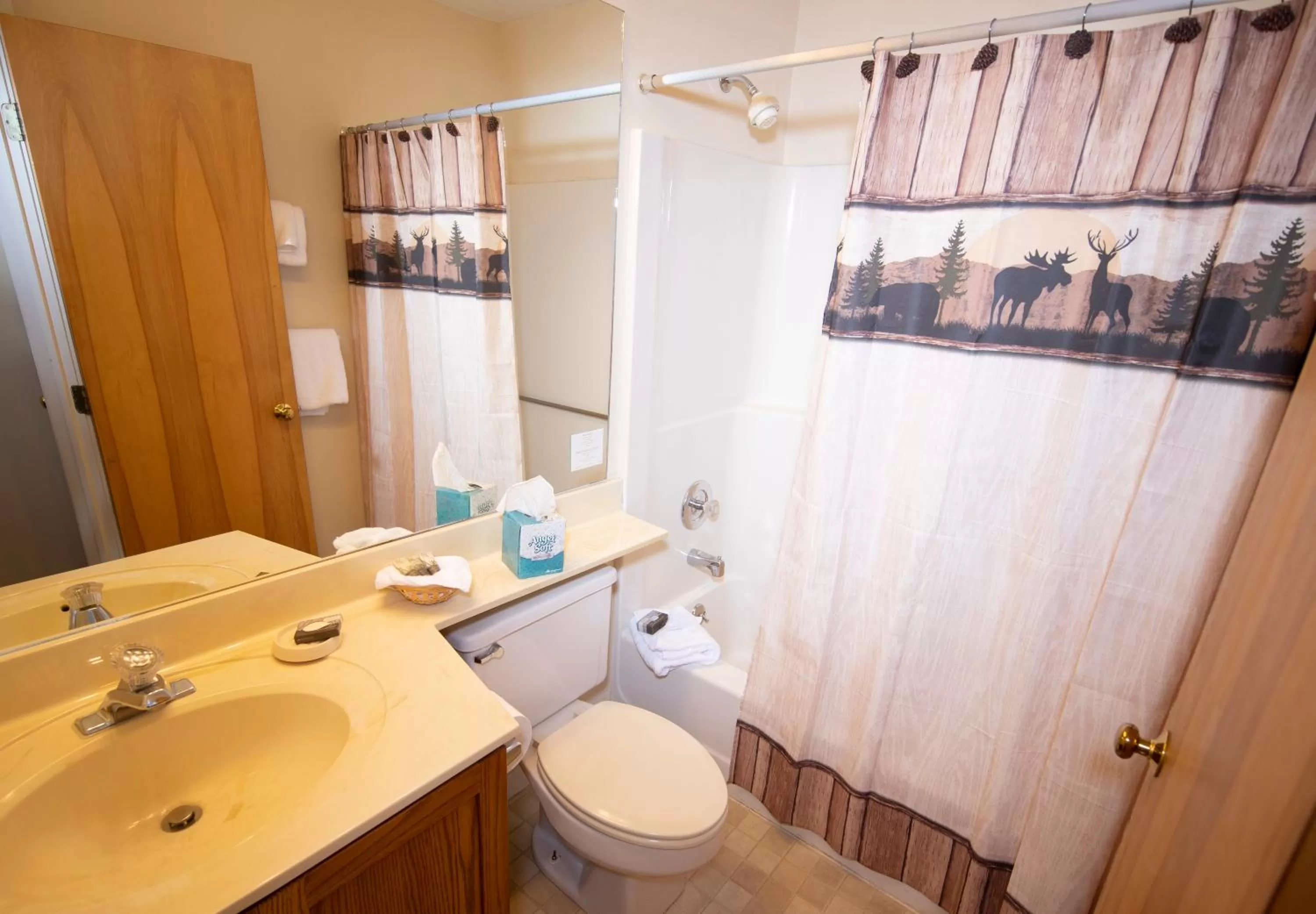 Mountain Lodge at Okemo