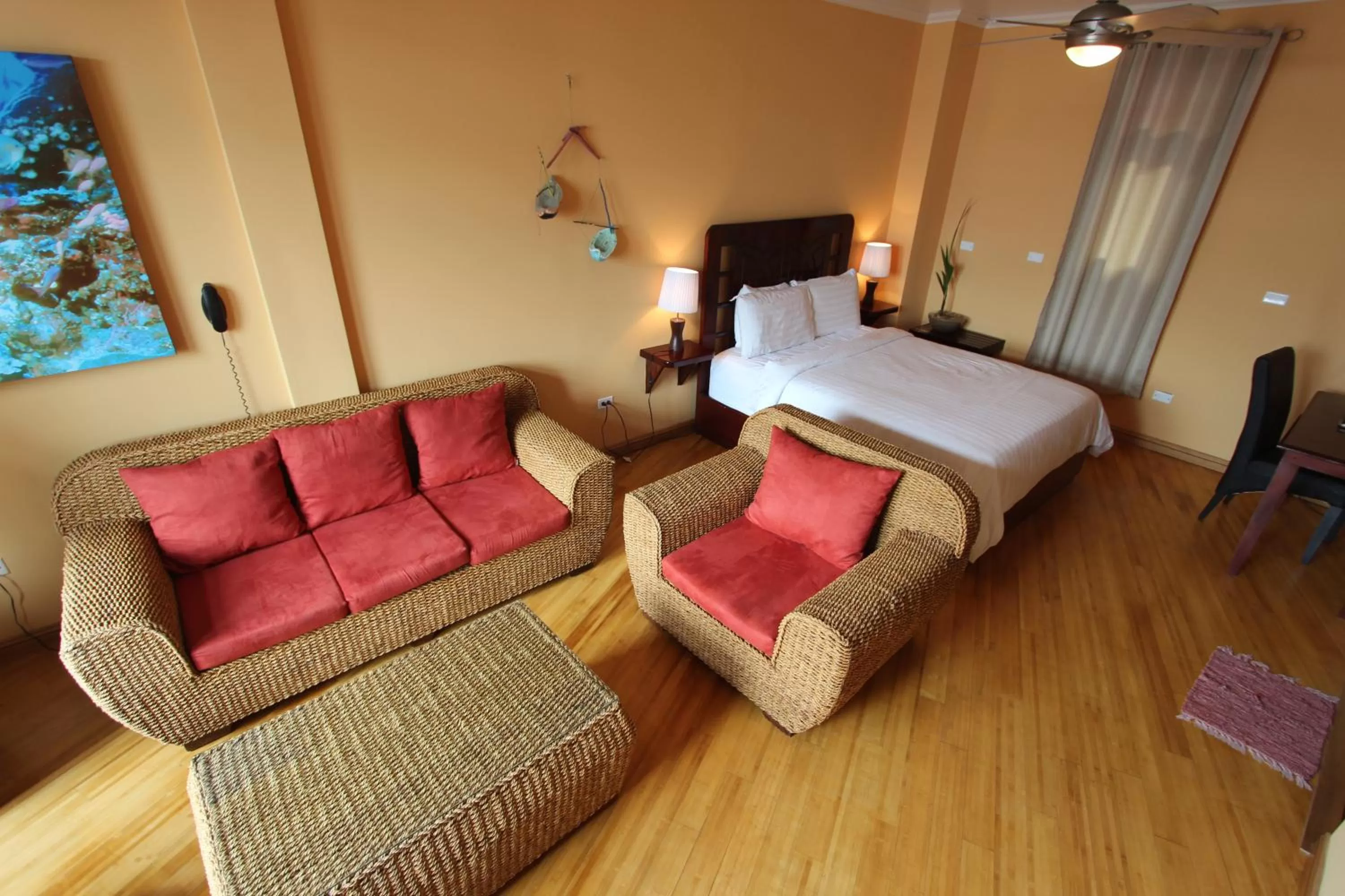 Photo of the whole room in Hotel Palma Royale