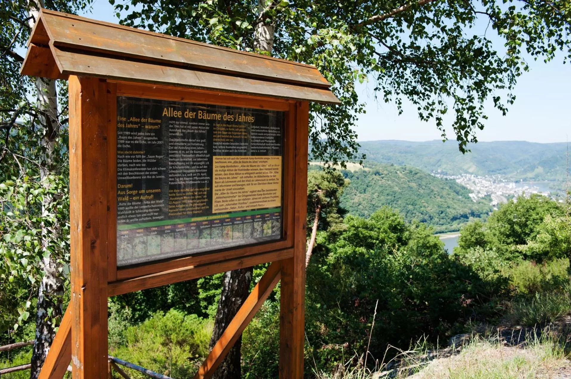 Logo/Certificate/Sign in Hotel im Rheintal