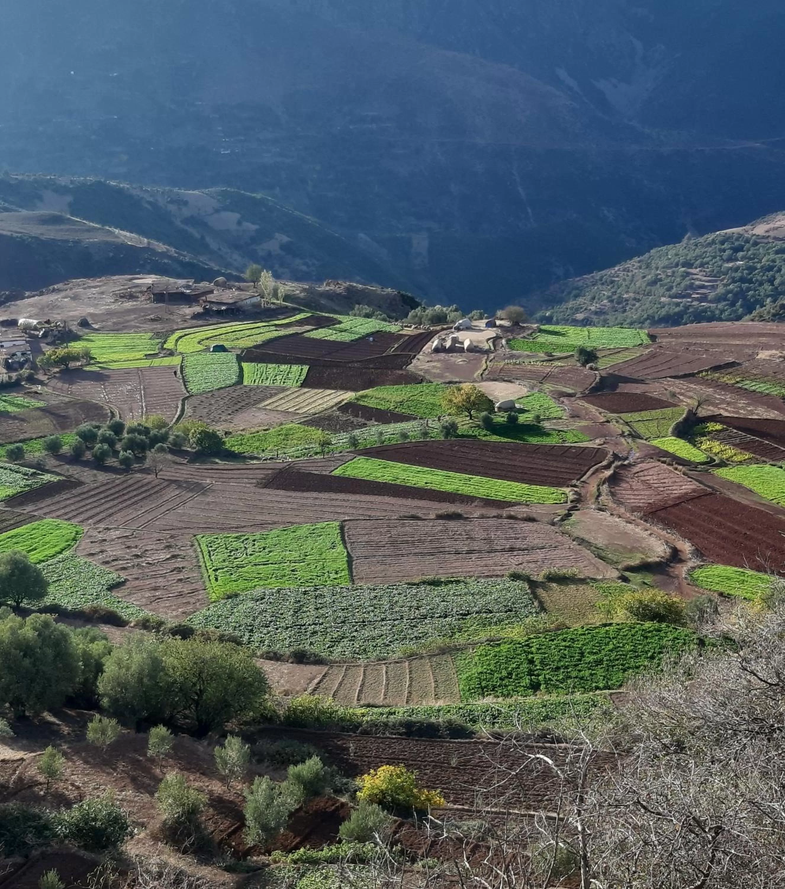 Bird's-eye View in TAZEKKA PARC HOTEL