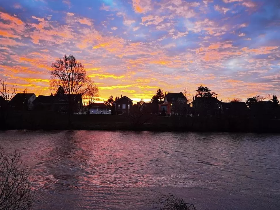 LES PINGOUINS DE LA MARNE