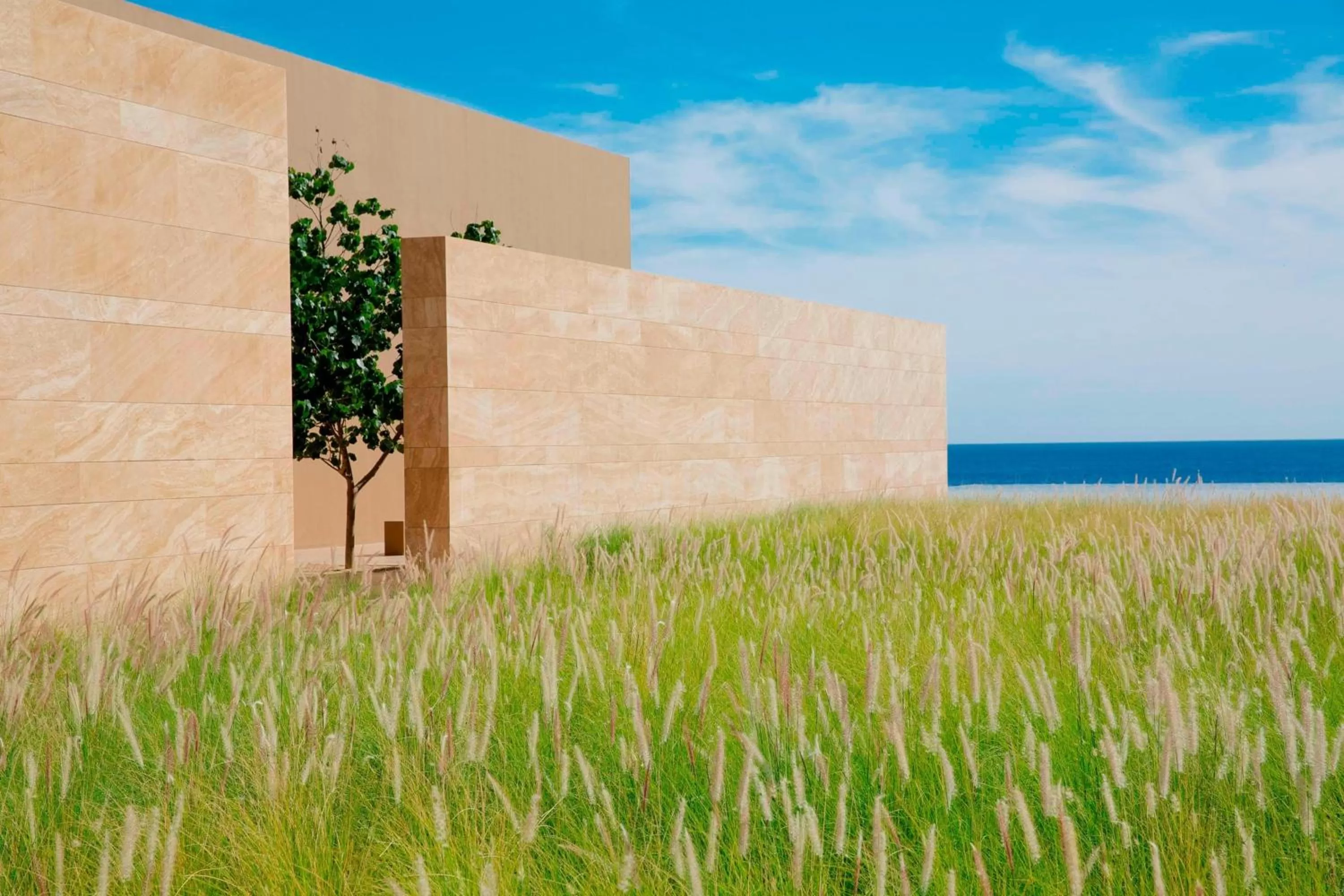 View (from property/room) in JW Marriott Los Cabos Beach Resort & Spa