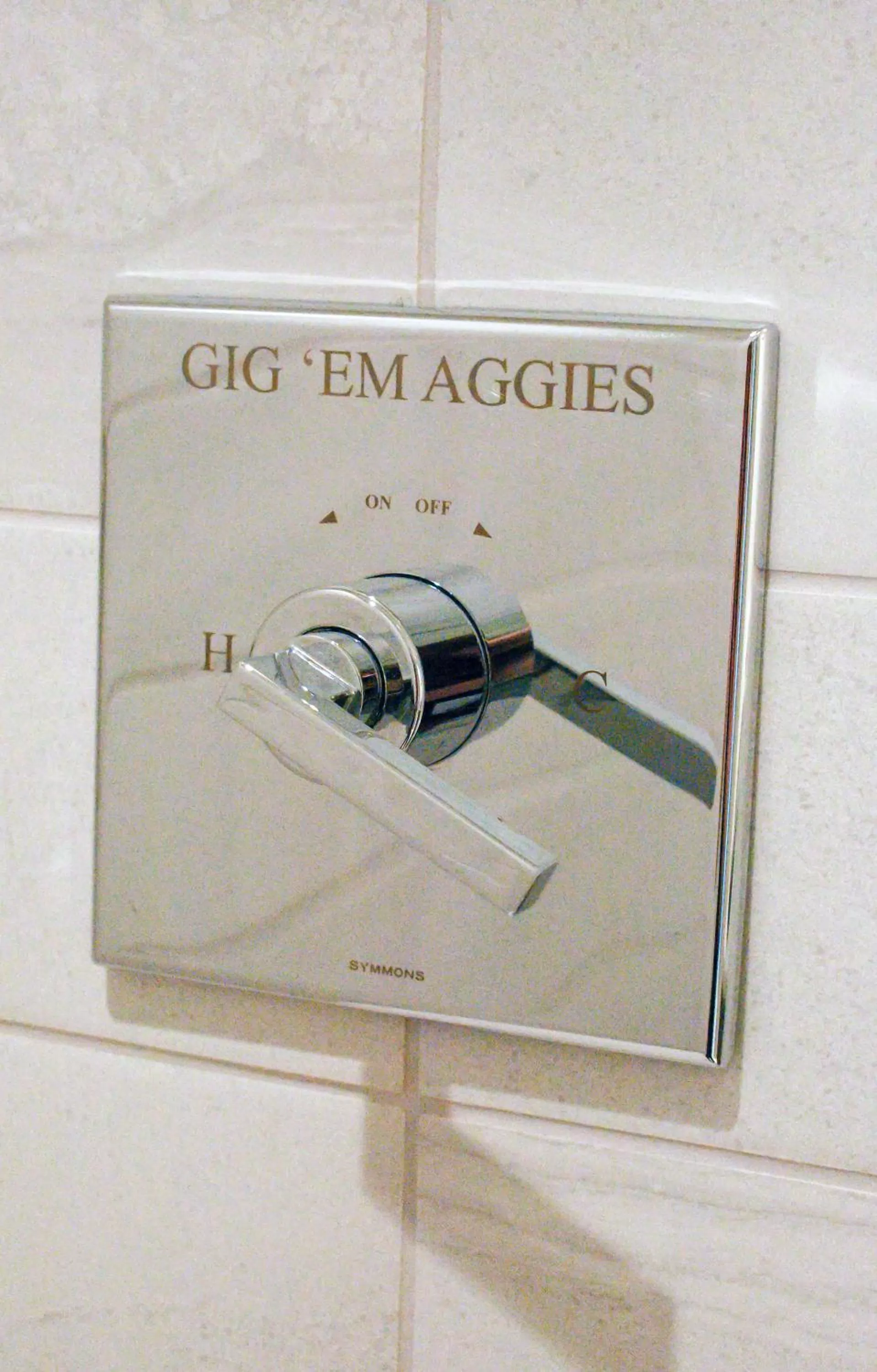 Bathroom in Texas A&M Hotel and Conference Center