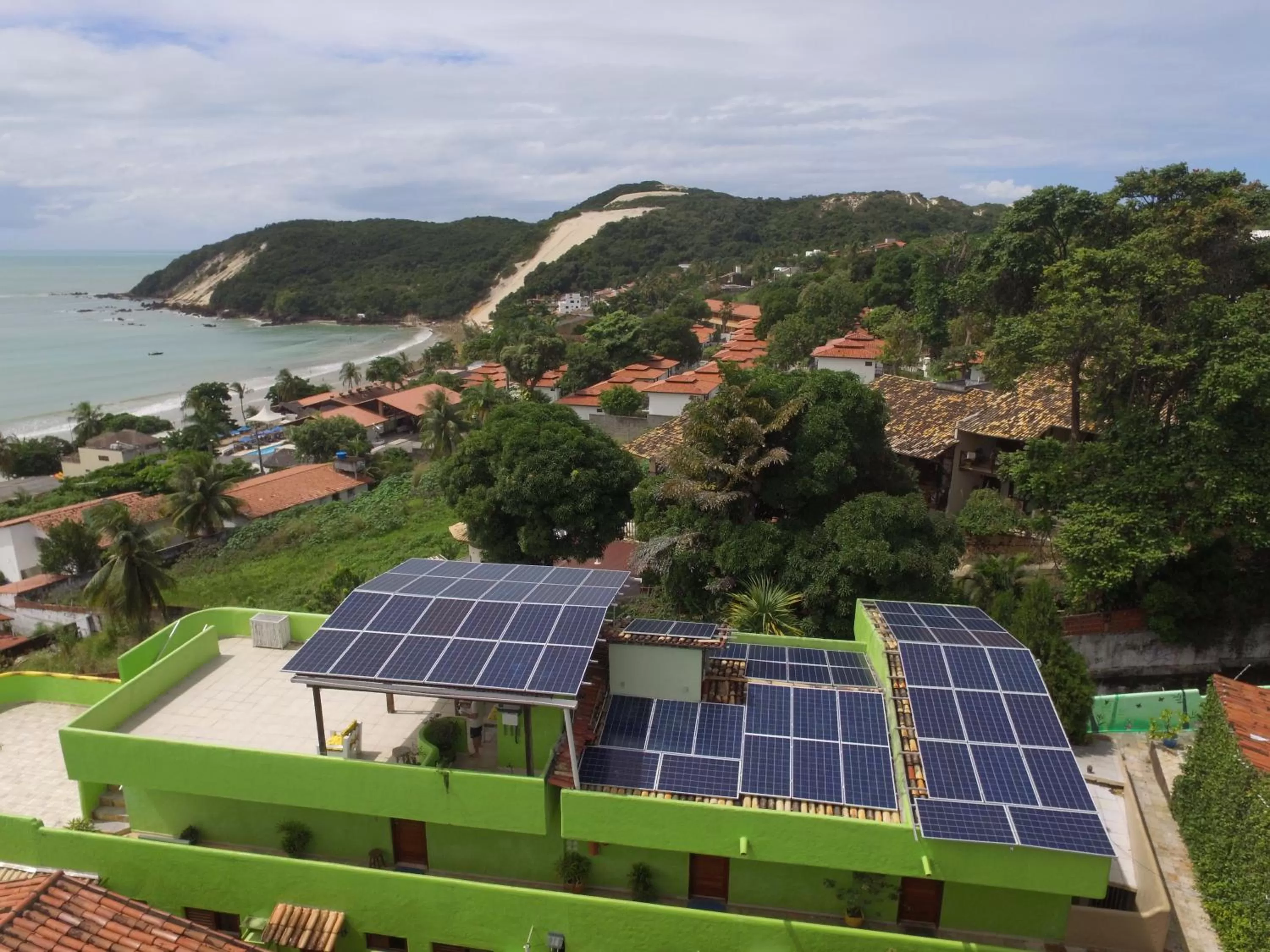 Bird's eye view, Bird's-eye View in Bamboo Flat