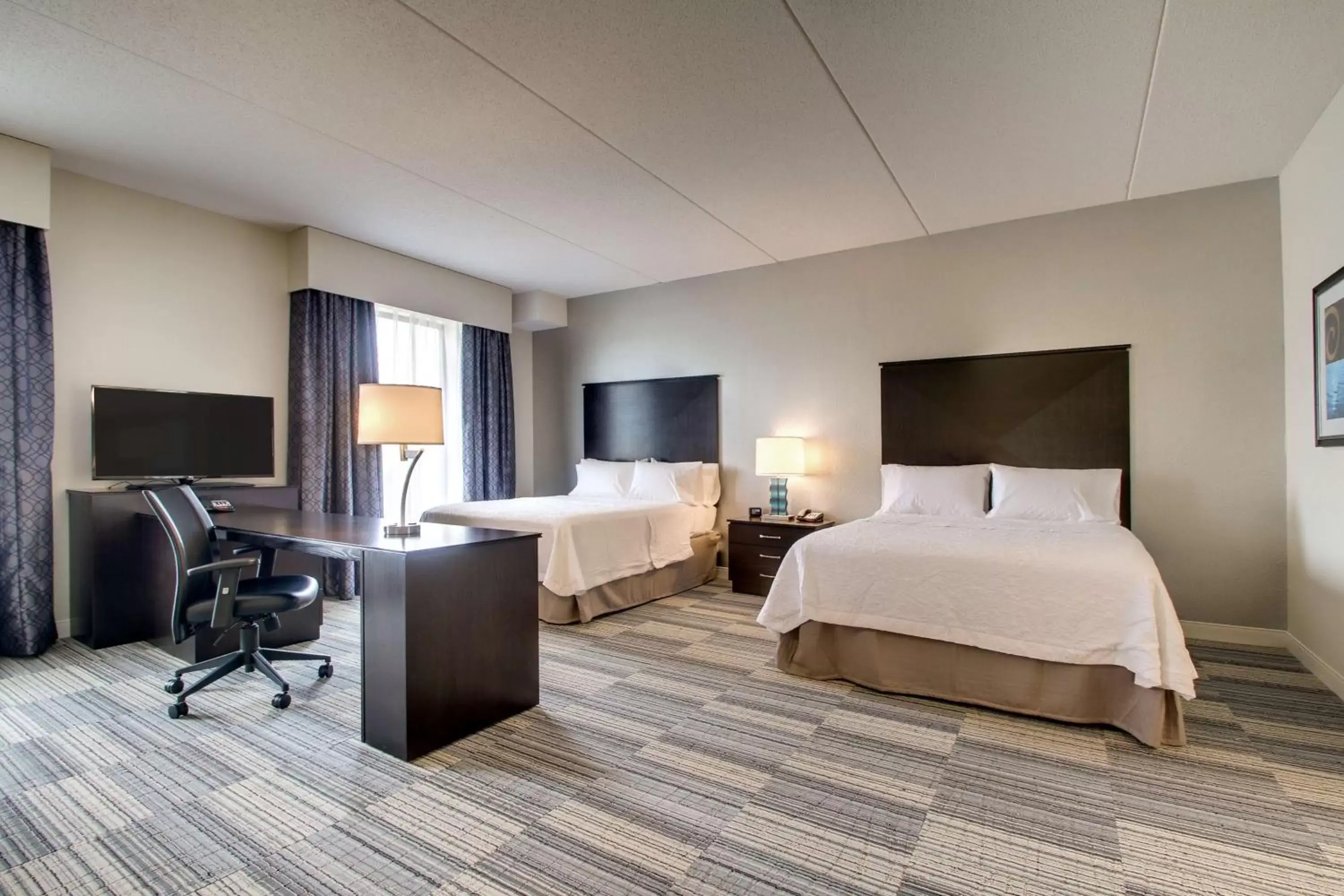 Queen Studio Suite with Two Queen Beds - Non-Smoking in Hampton Inn & Suites Greenville Airport Queen Studio Suite with Two Queen Beds - Non-Smoking in Hampton Inn & Suites Greenville Airport