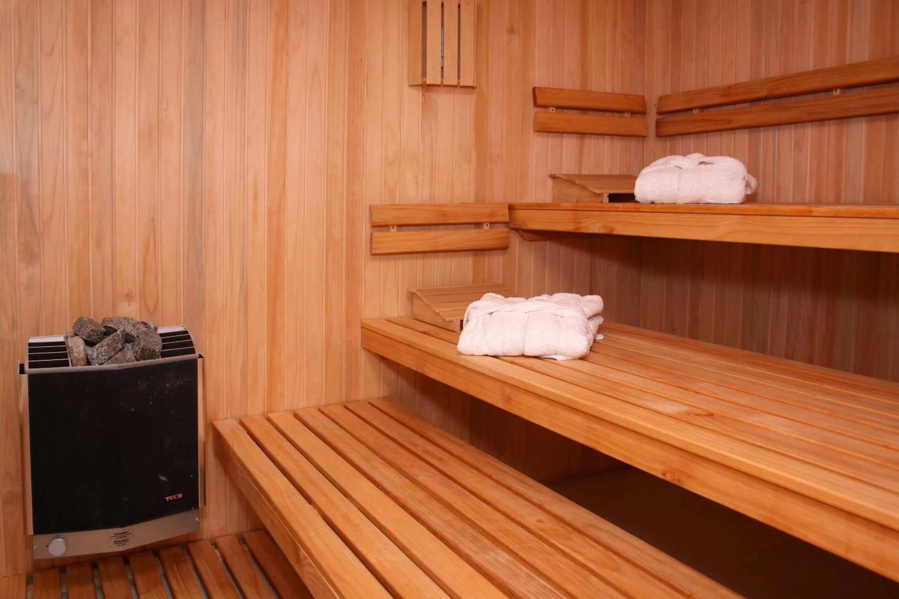 Sauna in San Isidro Plaza Hotel