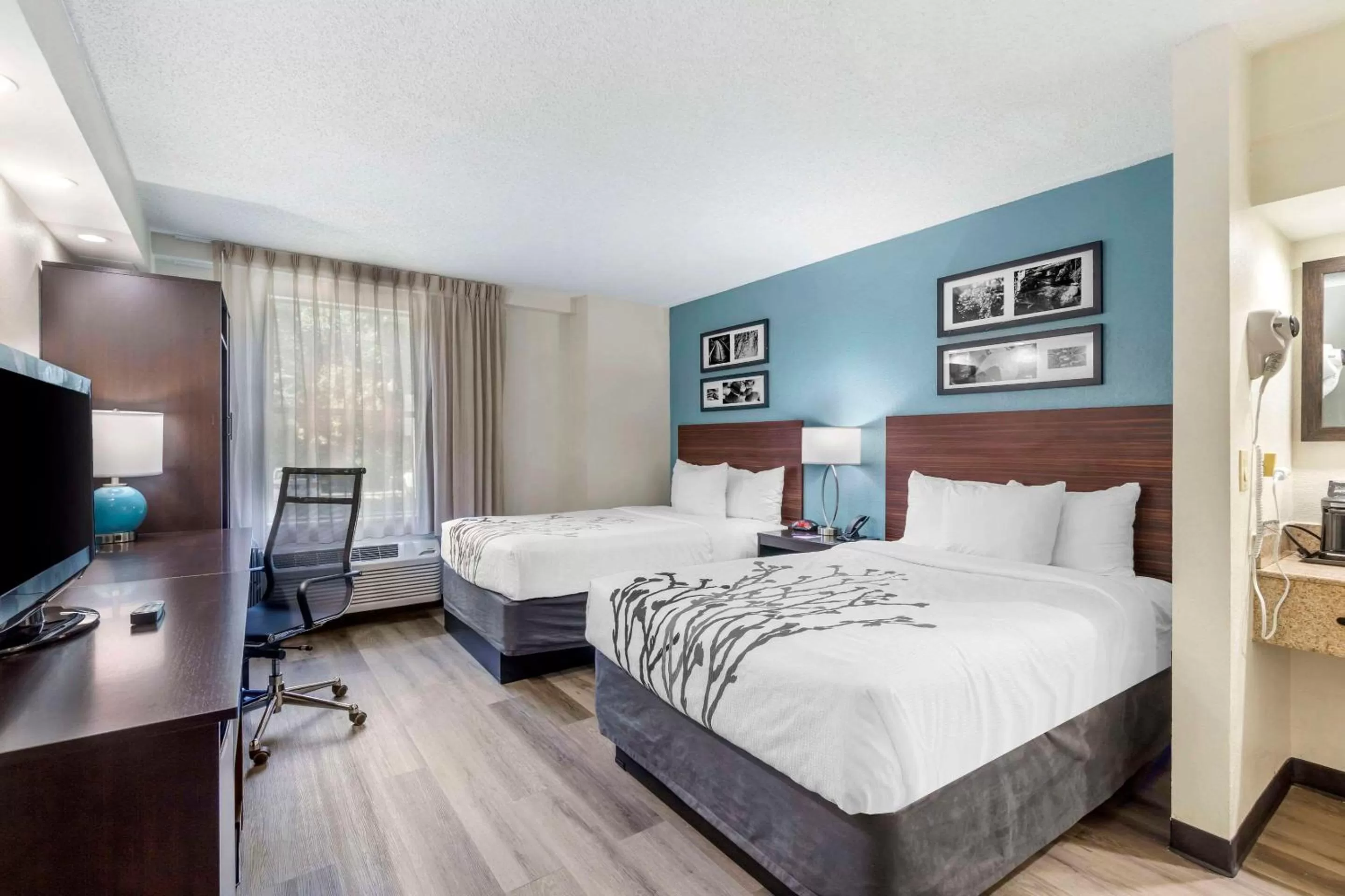 Bedroom, Bed in Sleep Inn Mt Pleasant - Charleston