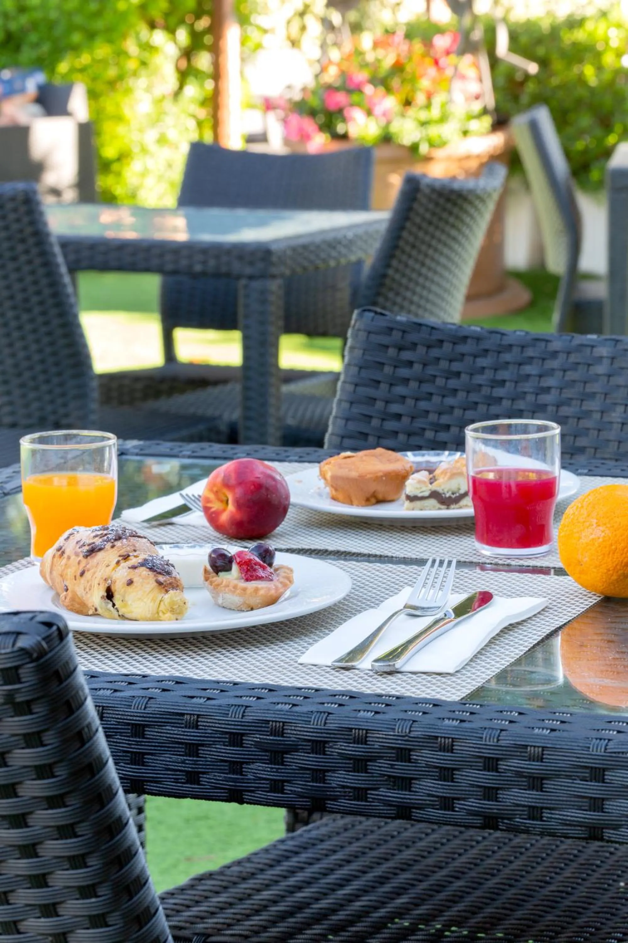 Garden in Hotel Campagnola