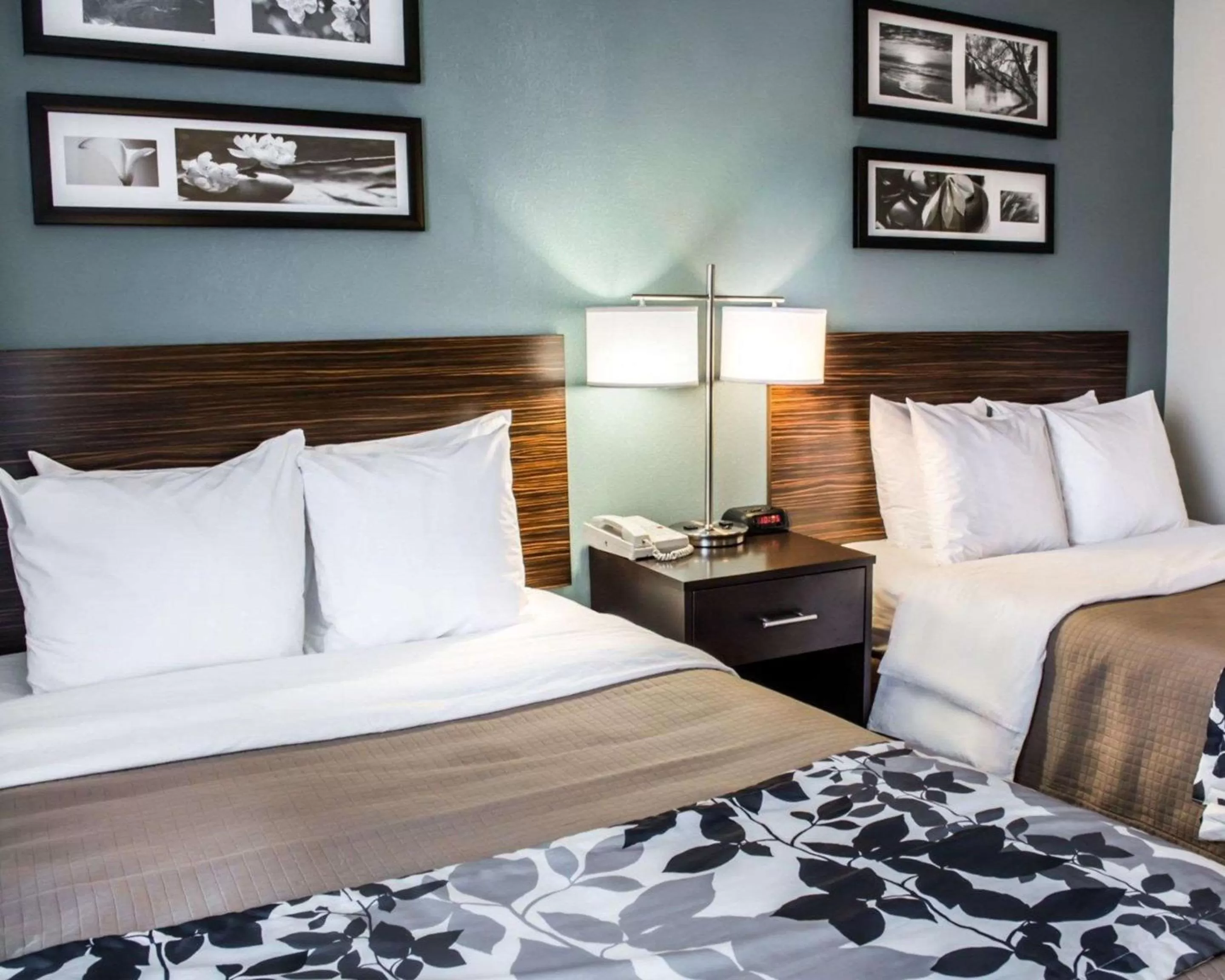 Photo of the whole room, Bed in Sleep Inn & Suites Monticello