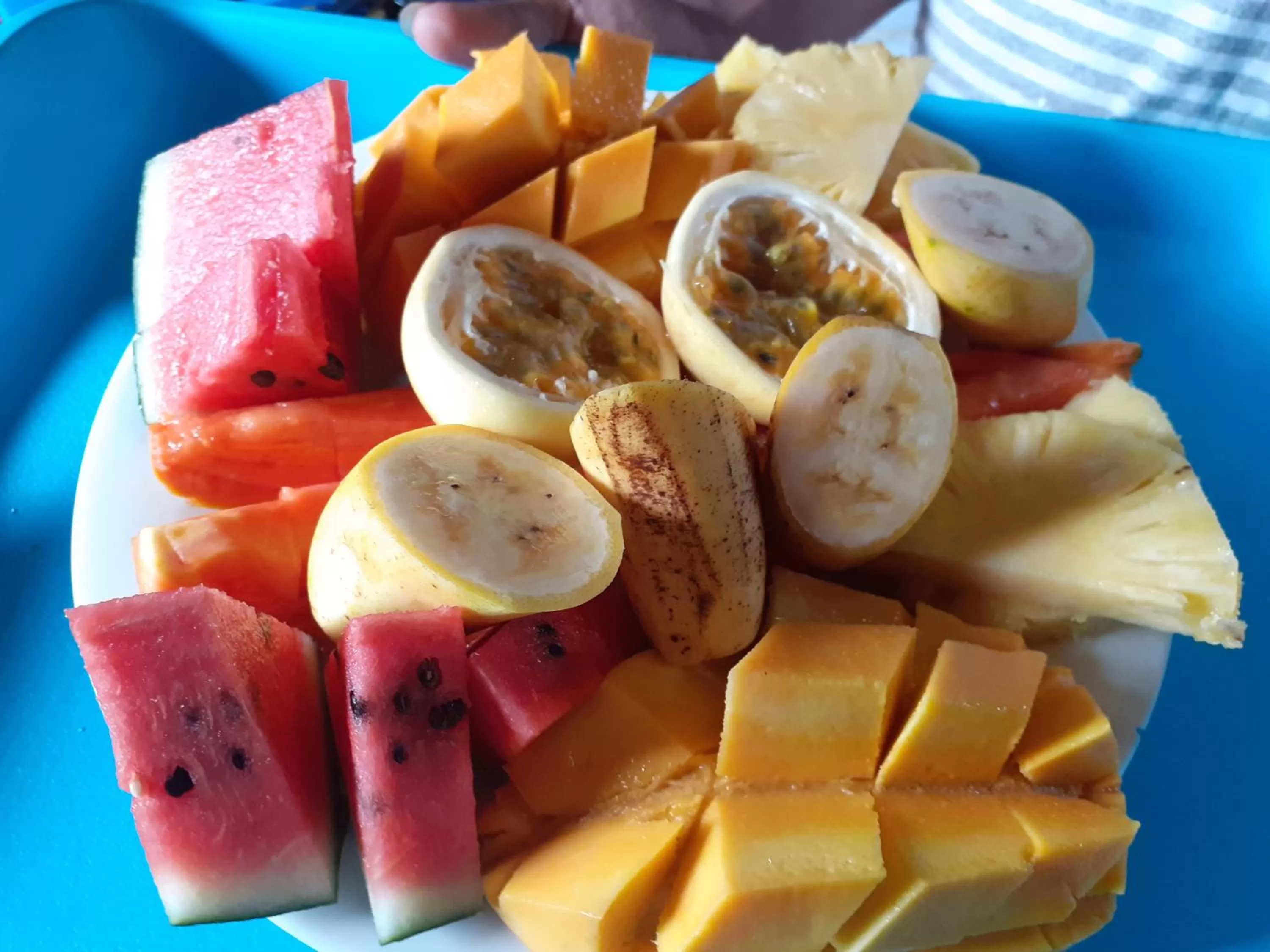 Food in Turtle Reef Guest