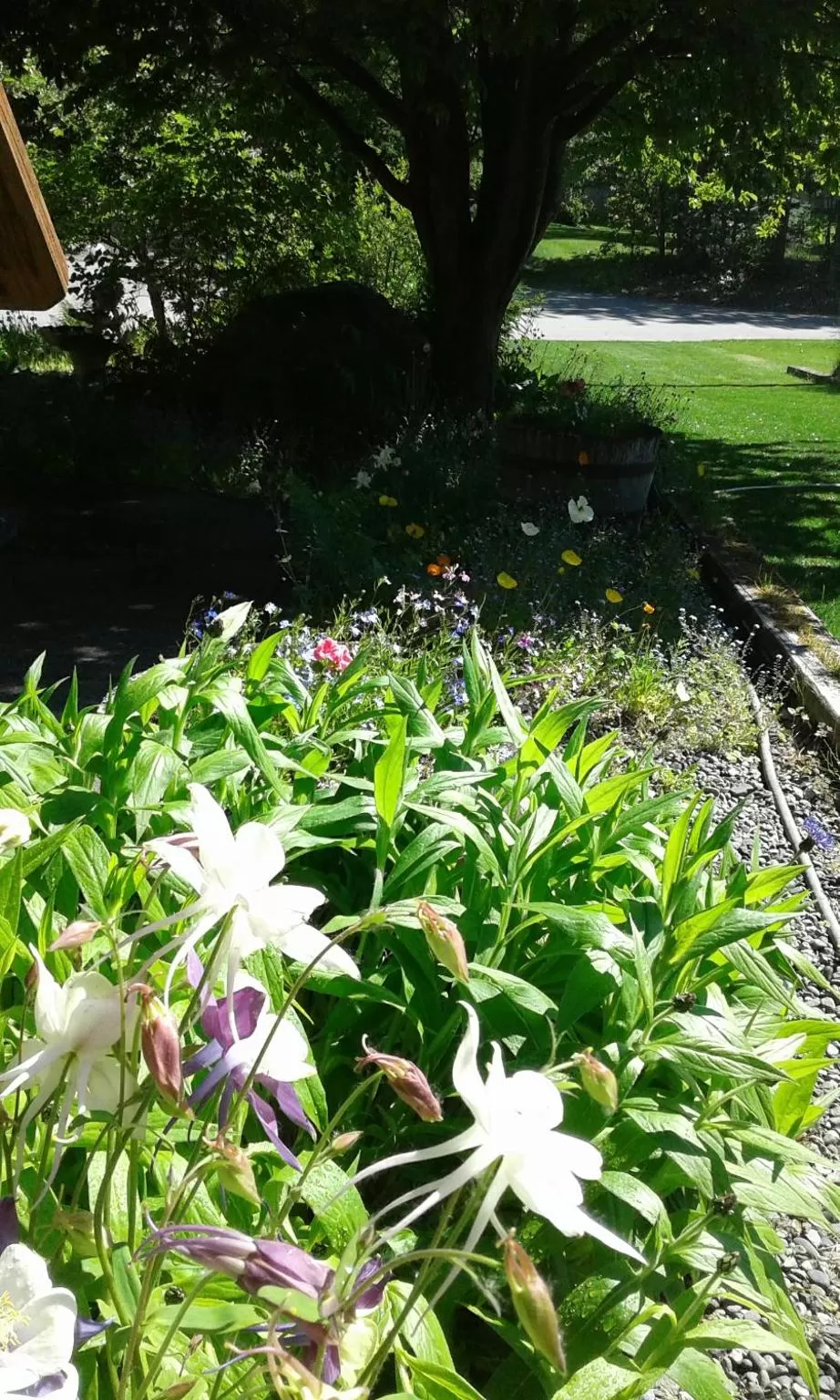 Alaska Chalet Bed & Breakfast