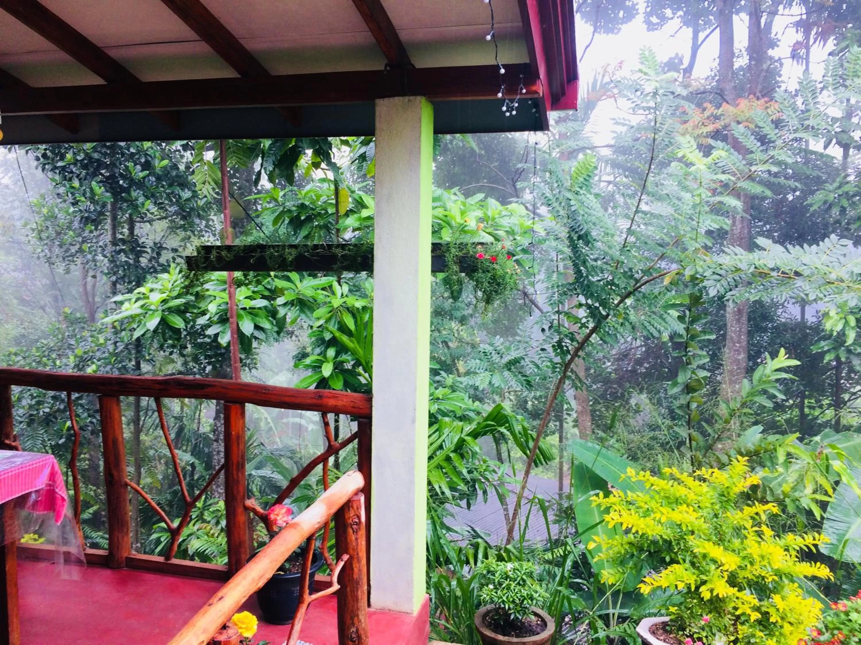 Balcony/Terrace in Littleadems View