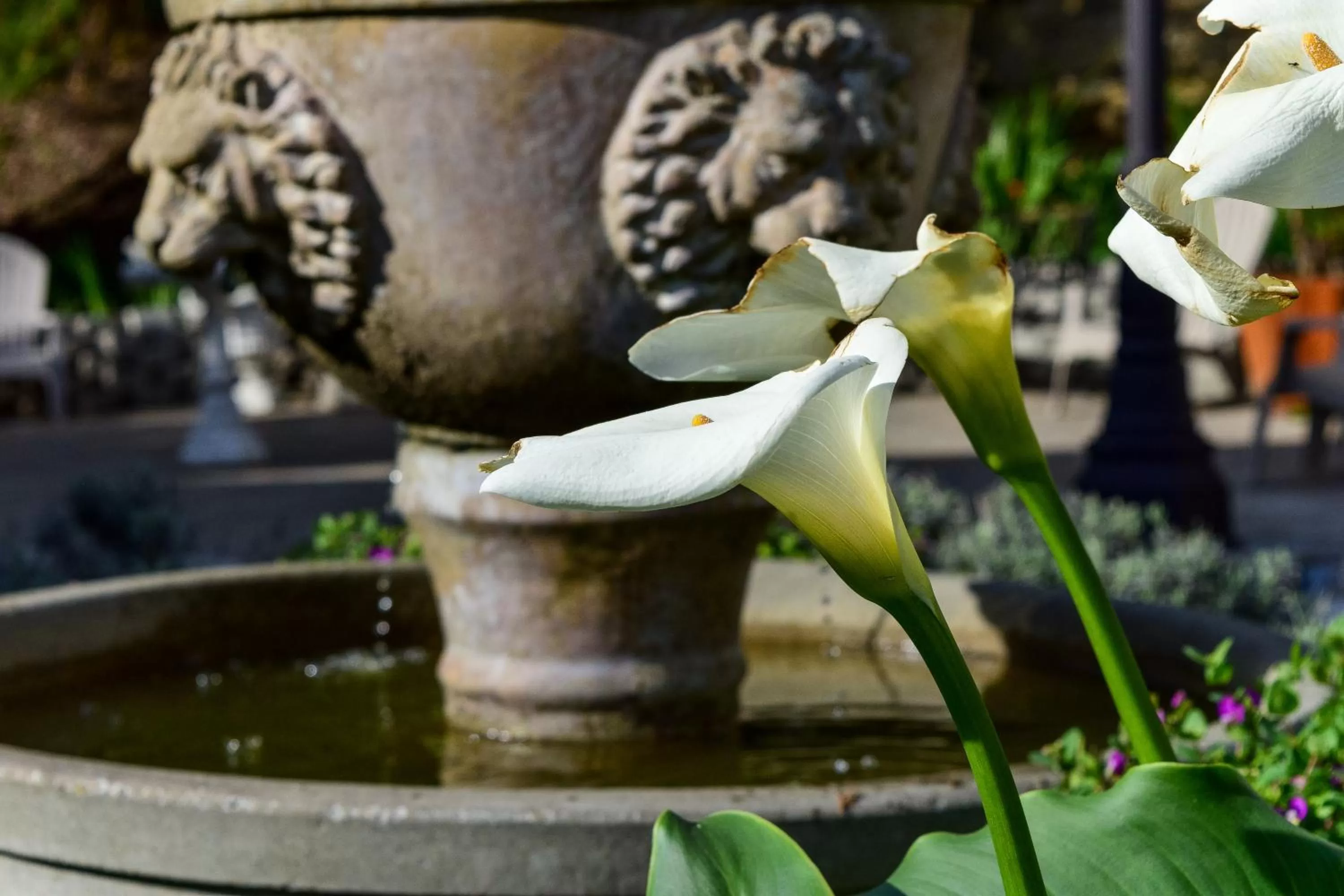 Other in Wharf Master's Inn