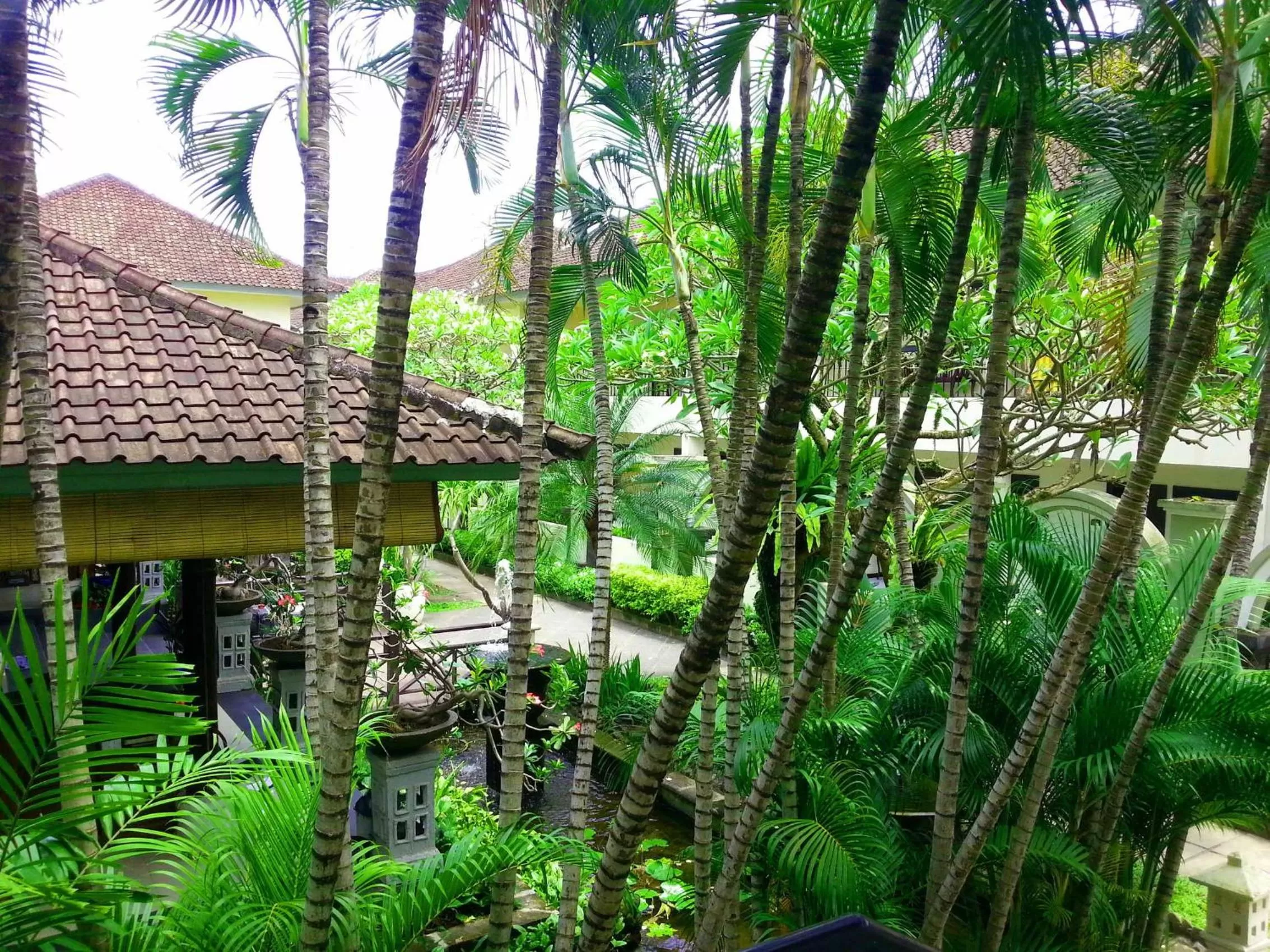 Garden in Legian Paradiso Hotel