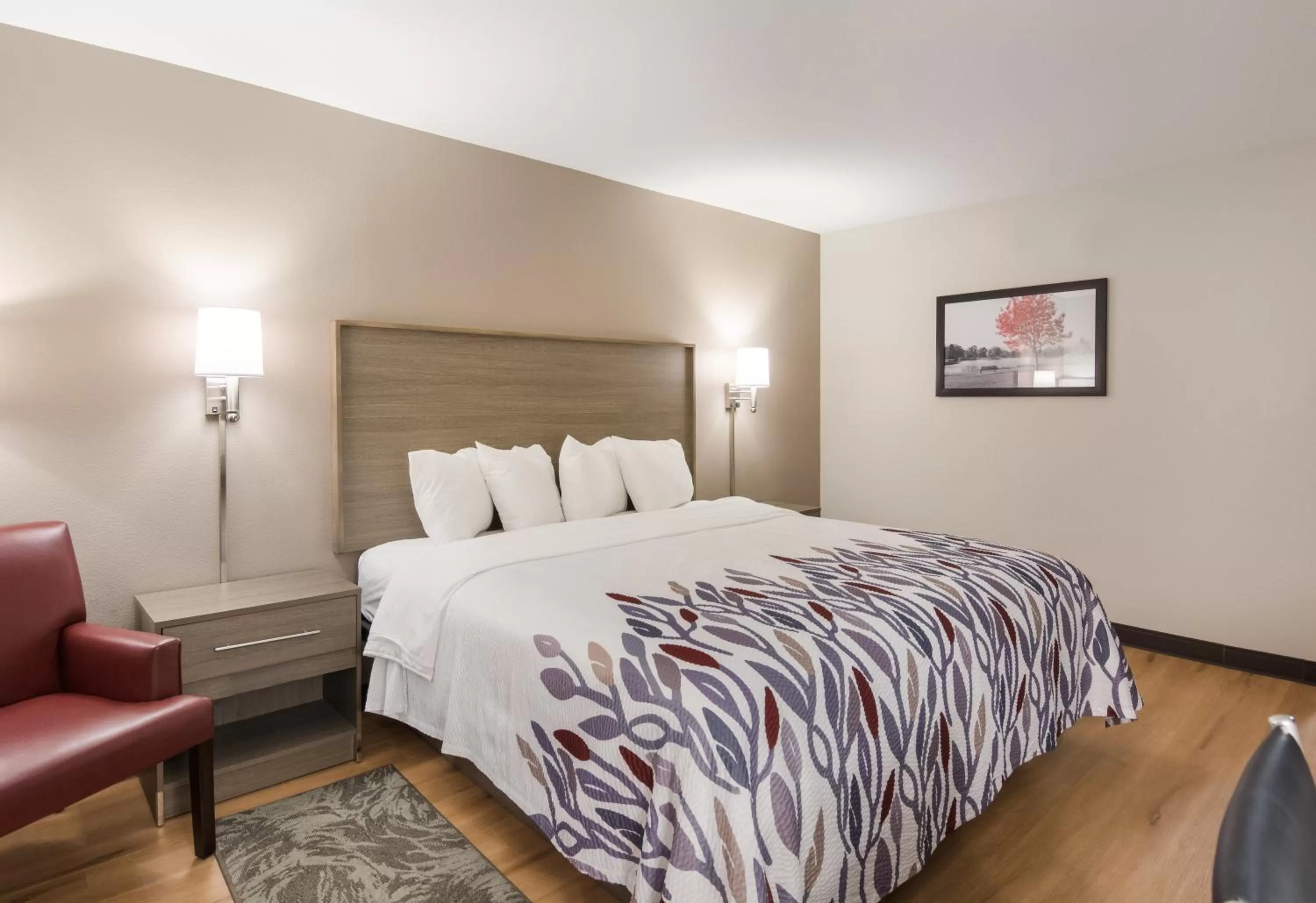 Photo of the whole room in Red Roof Inn Chester