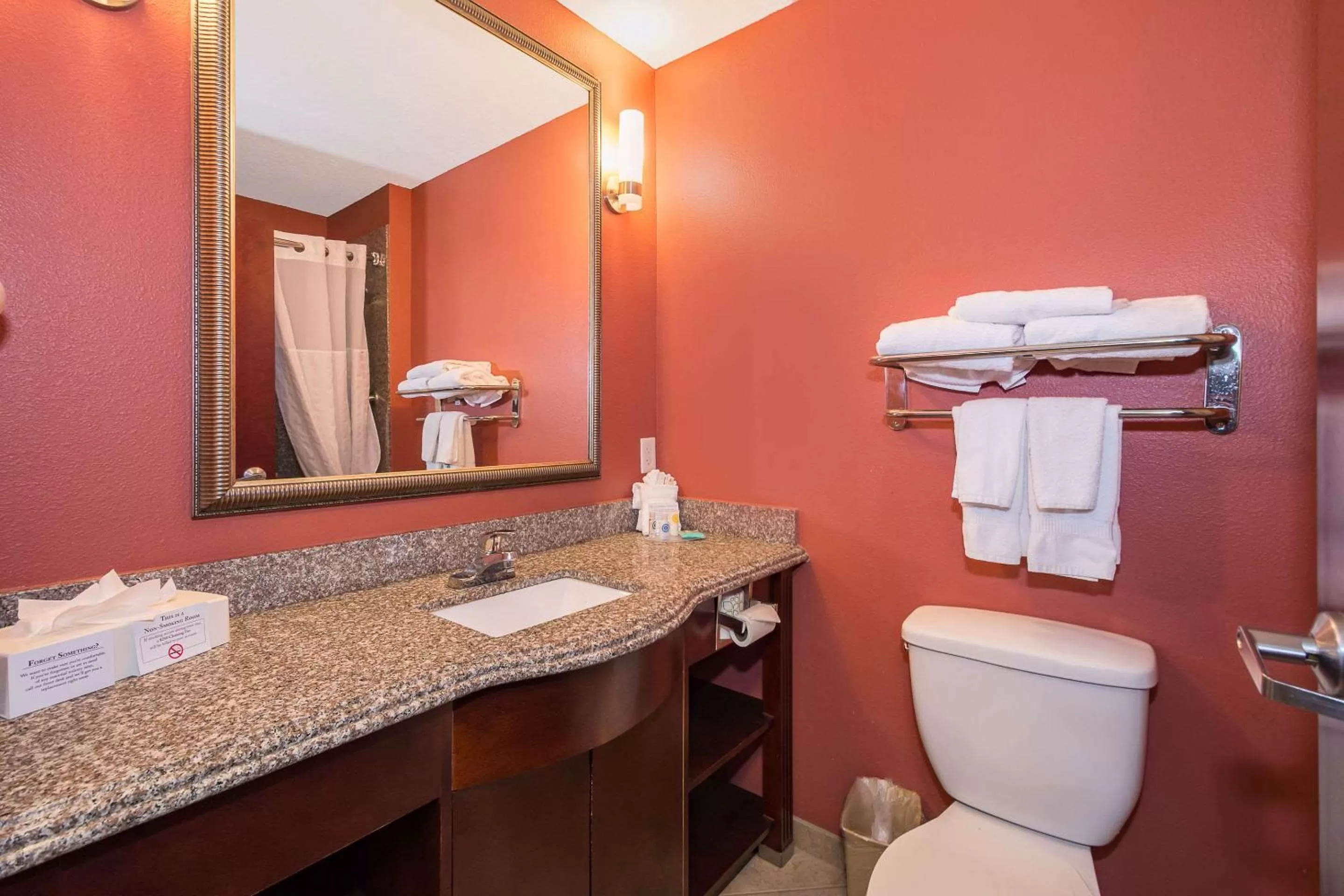 Bathroom in Comfort Inn & Suites Maingate South