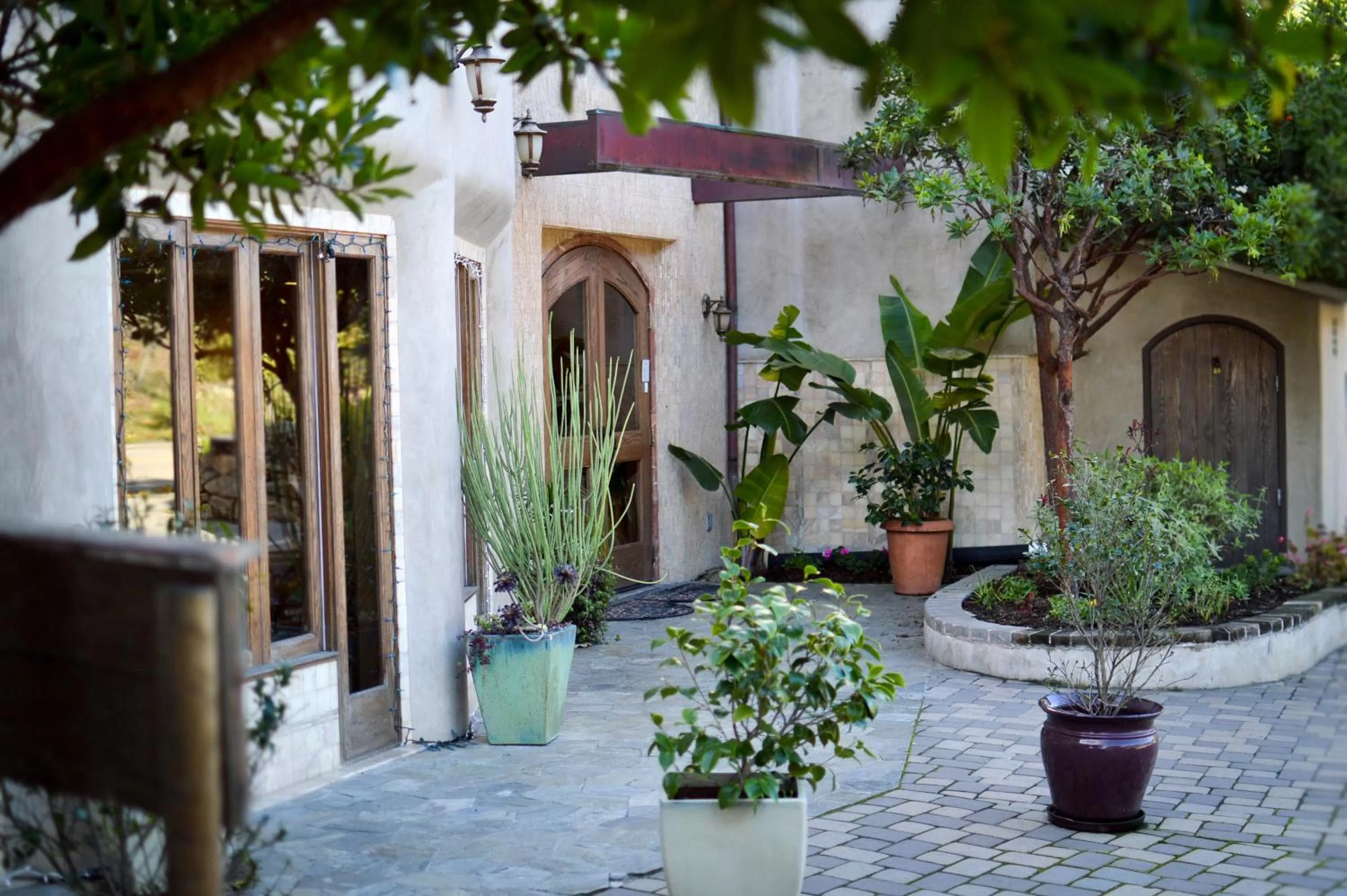 Area and facilities in El Colibri Hotel & Spa