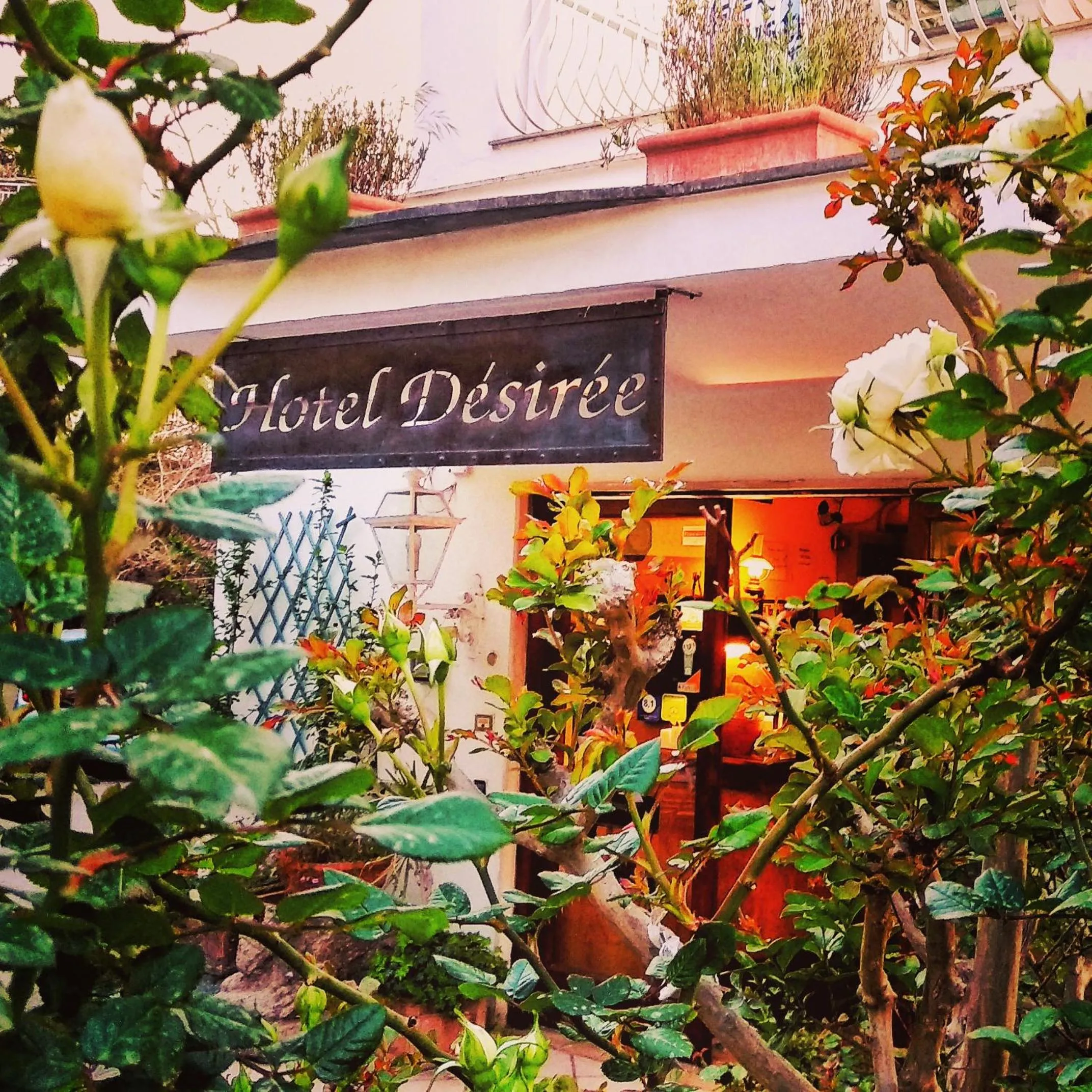 Property building in Hotel Desiree