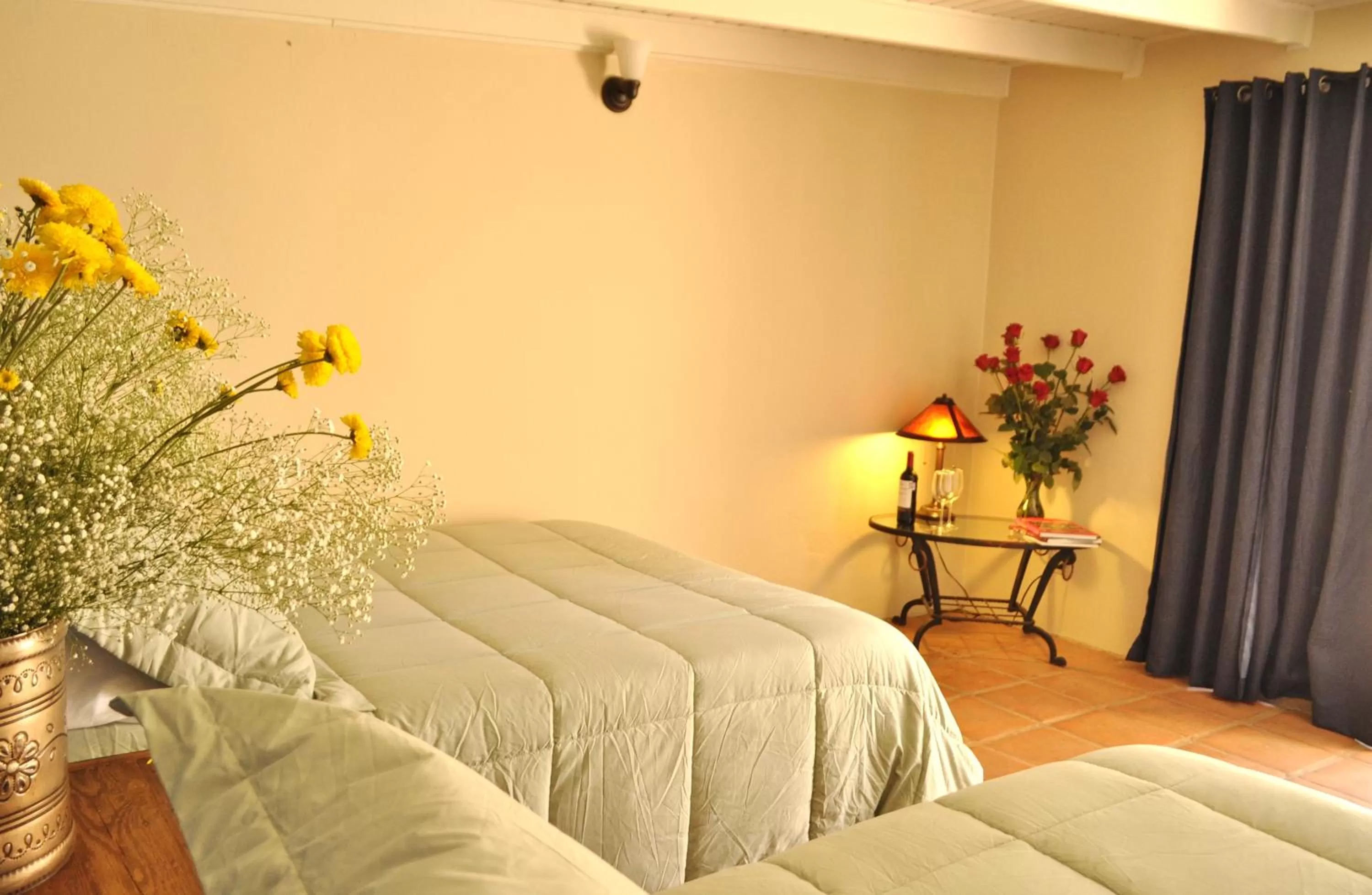 Budget Double Room in Horsepower Ranch