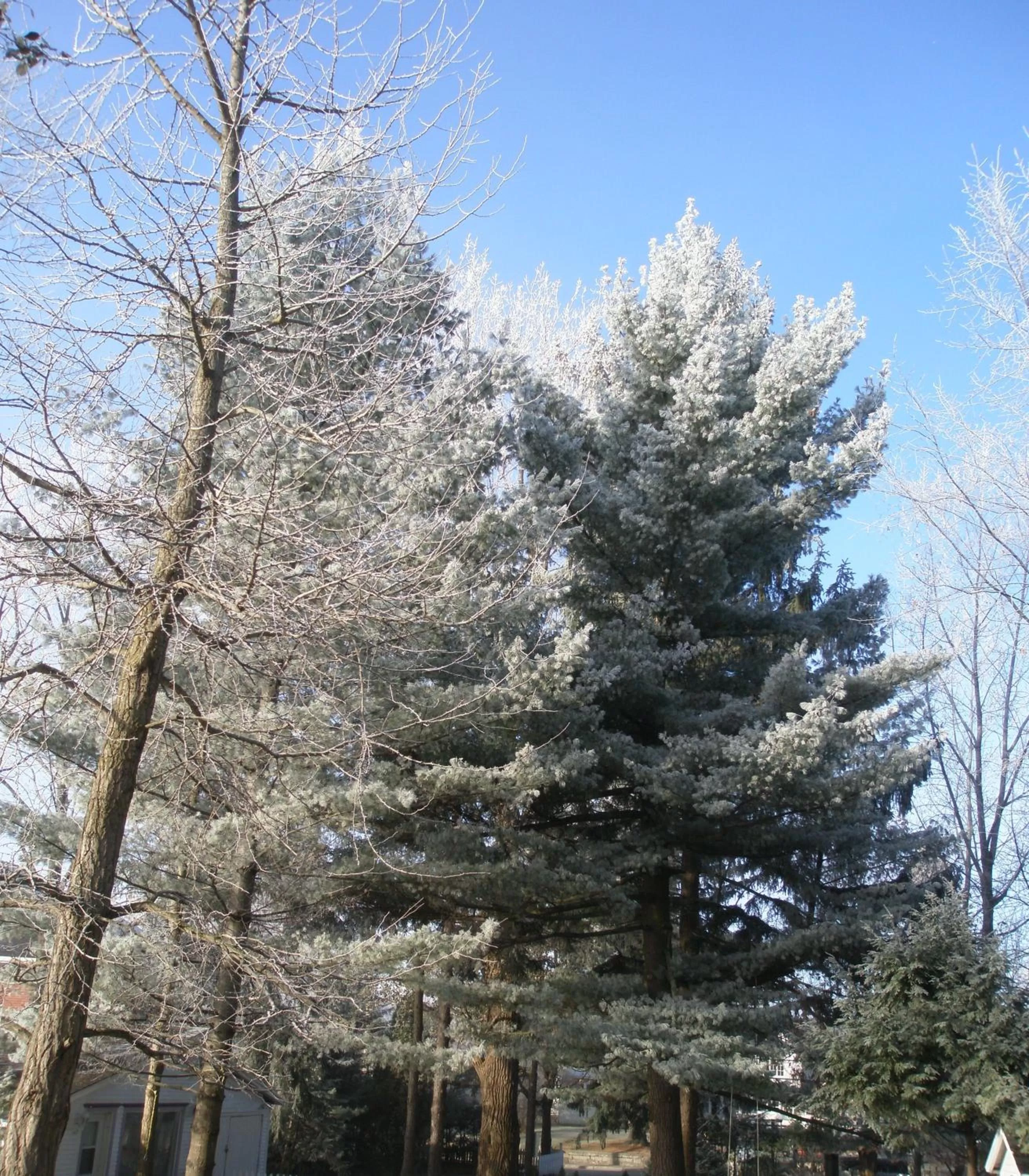 Garden in Ô Bois Dormant B&B