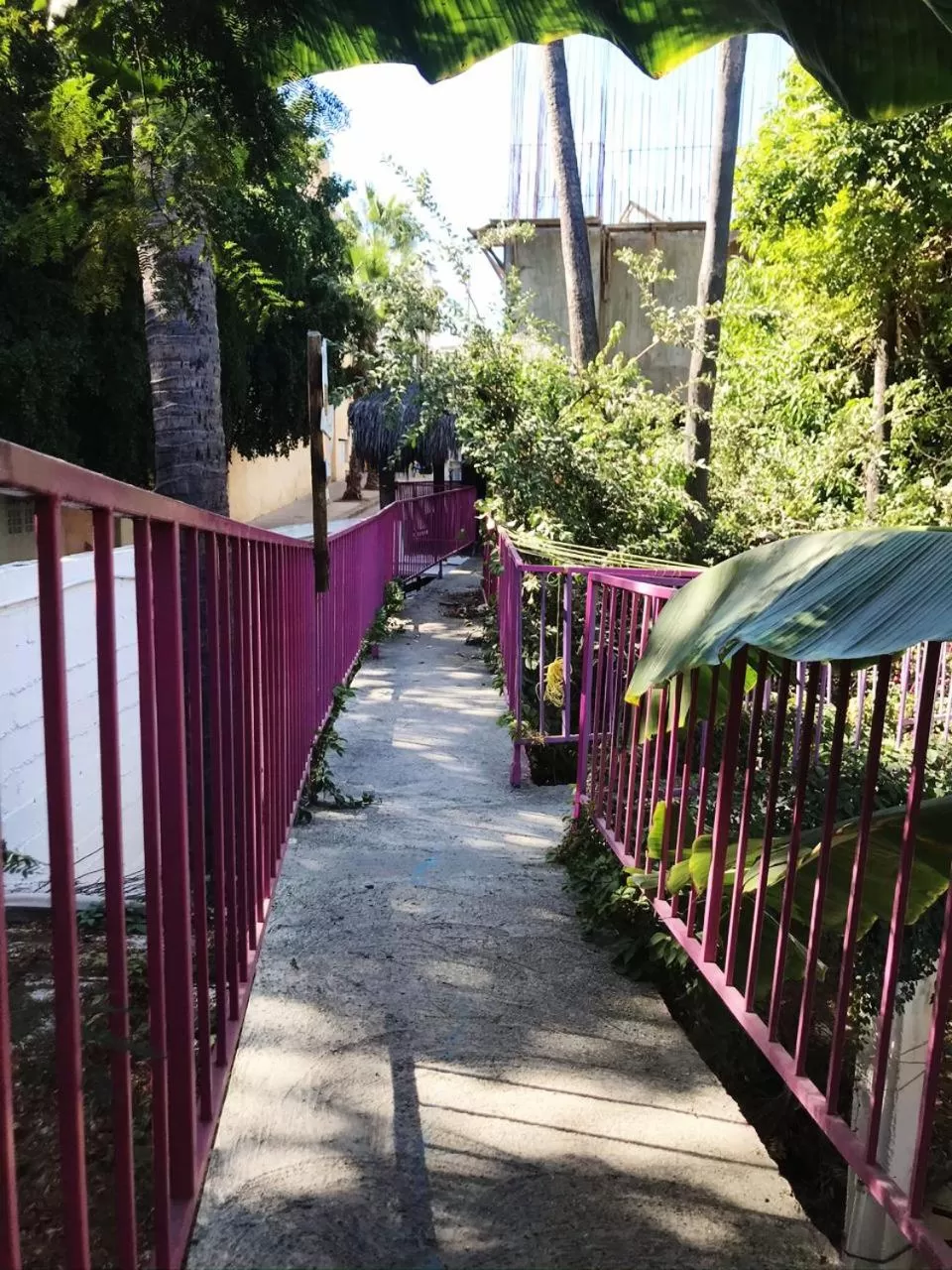 Patio in Hotel Posada Señor Mañana