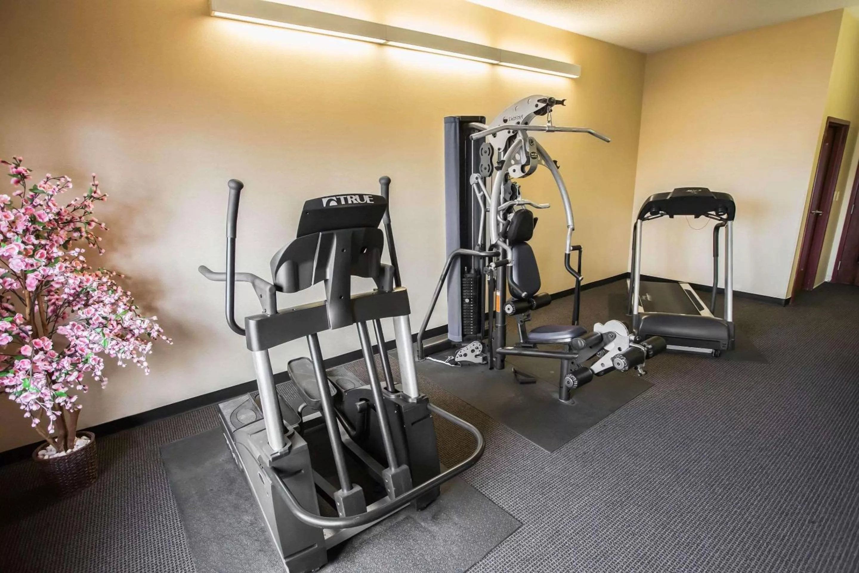 Fitness centre/facilities in Comfort Inn Crystal Lake - Algonquin