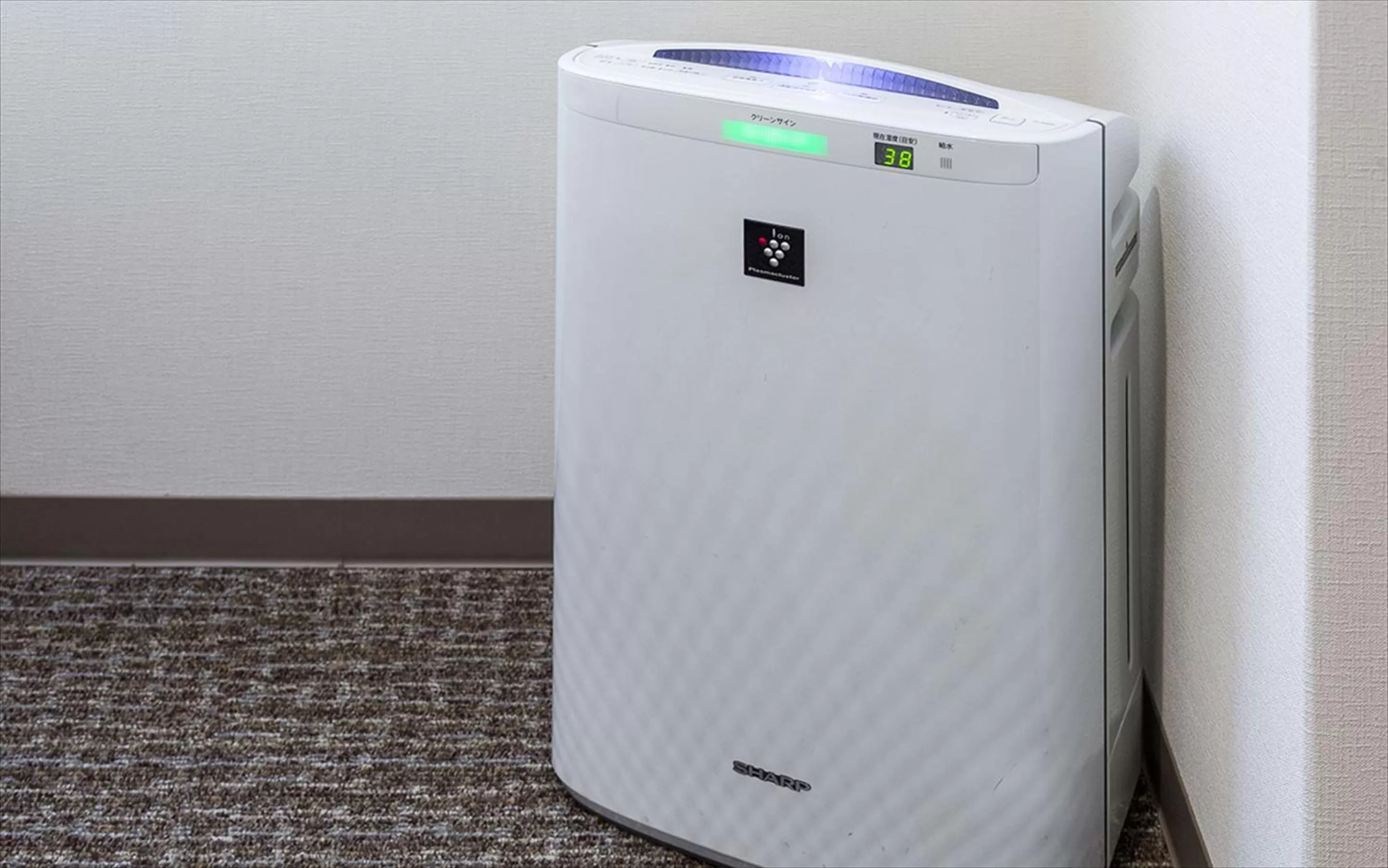 Area and facilities in Hotel Sun White