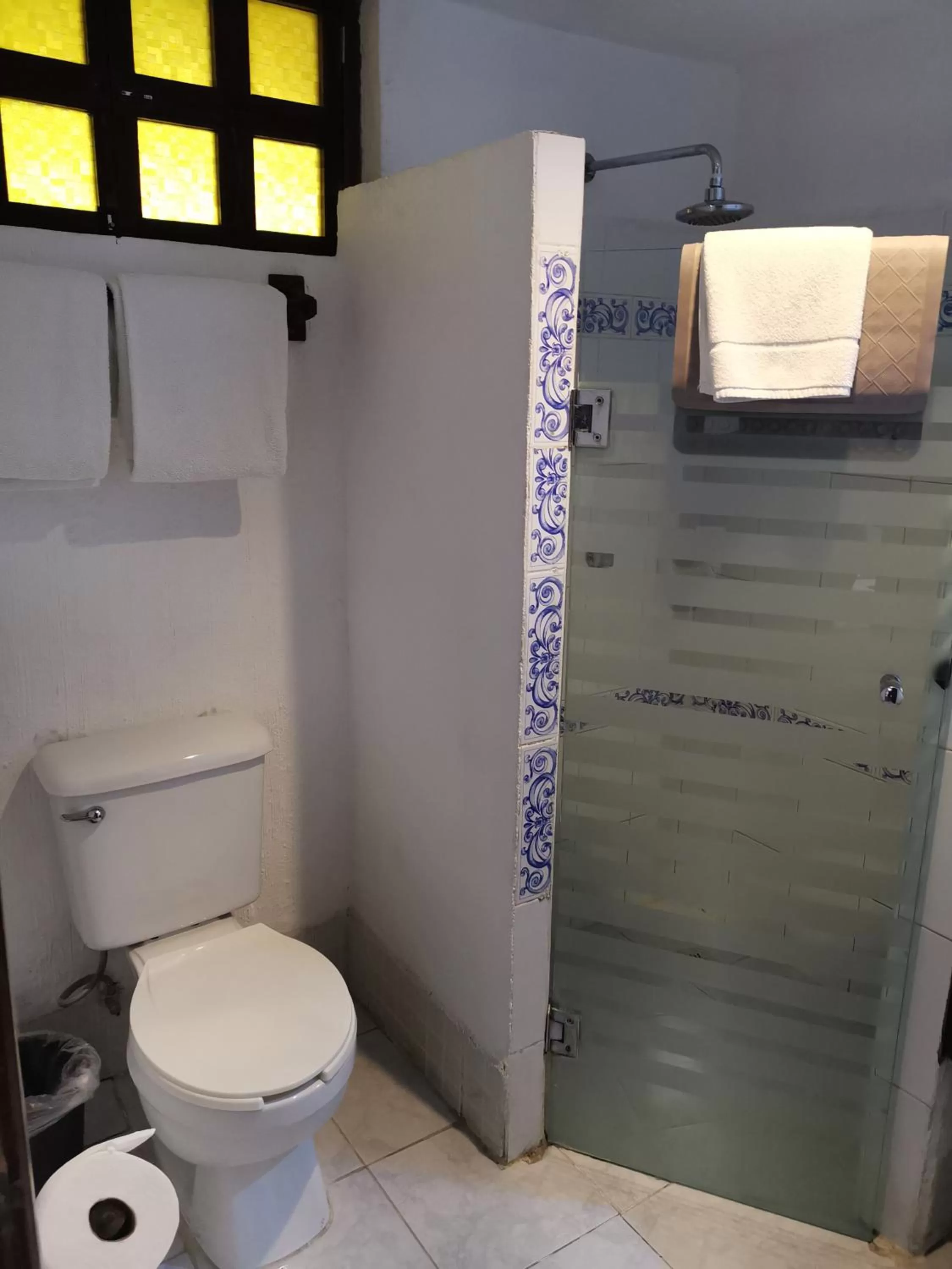 Toilet in Hotel Maya Yucatan