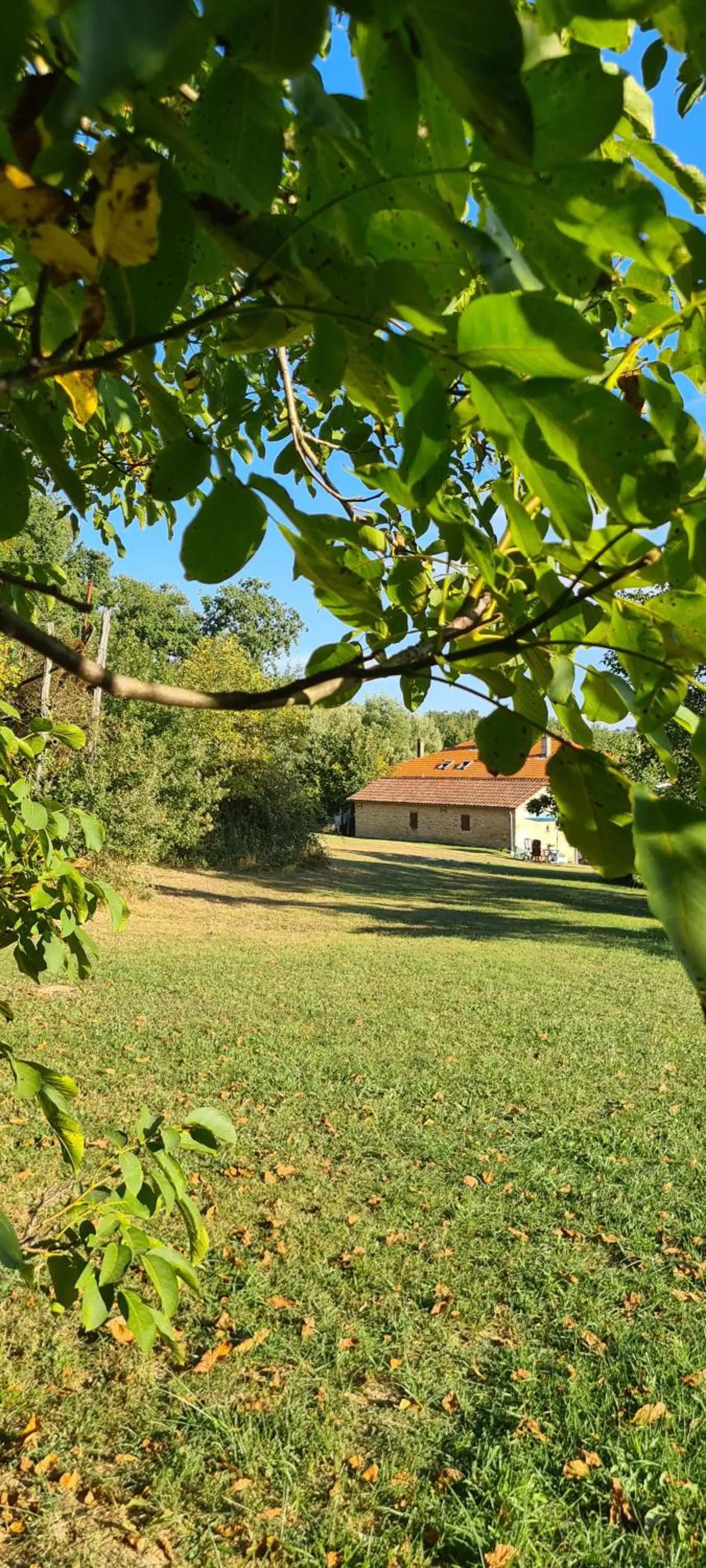 Garden in Le Coq en Repos
