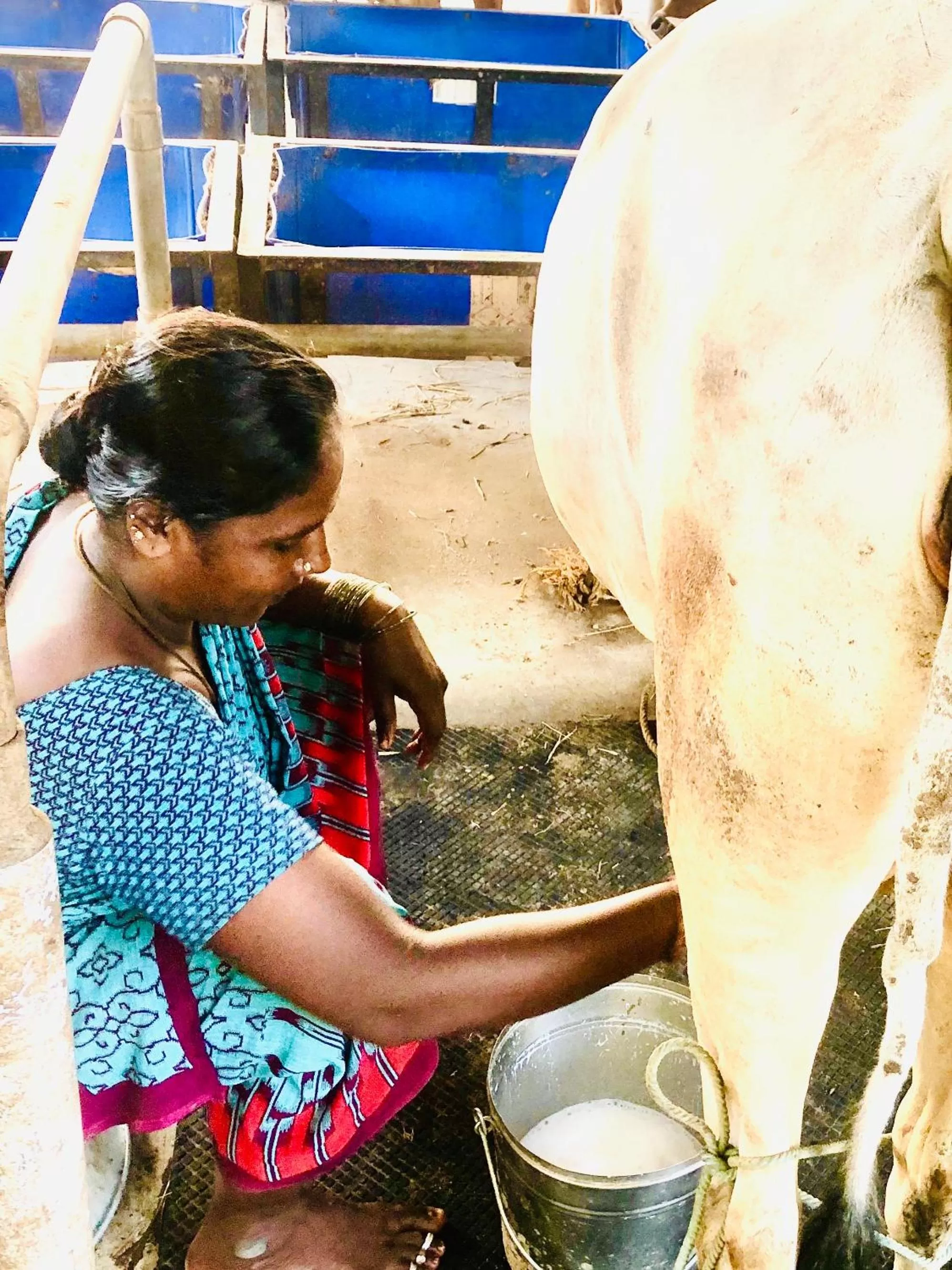 Activities in Marutham Village Resort