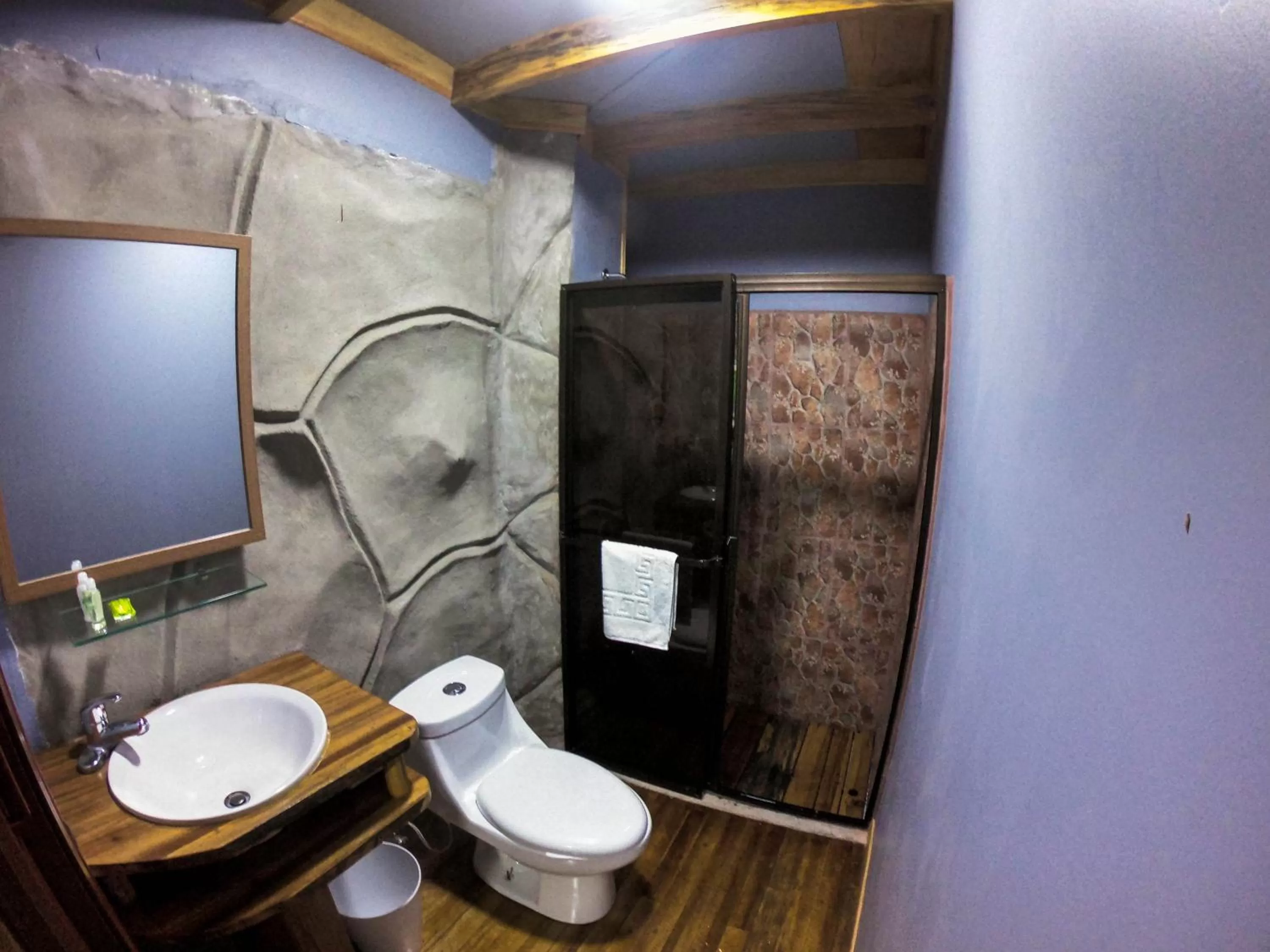 Shower, Bathroom in Hotel Hacienda Don Paolo