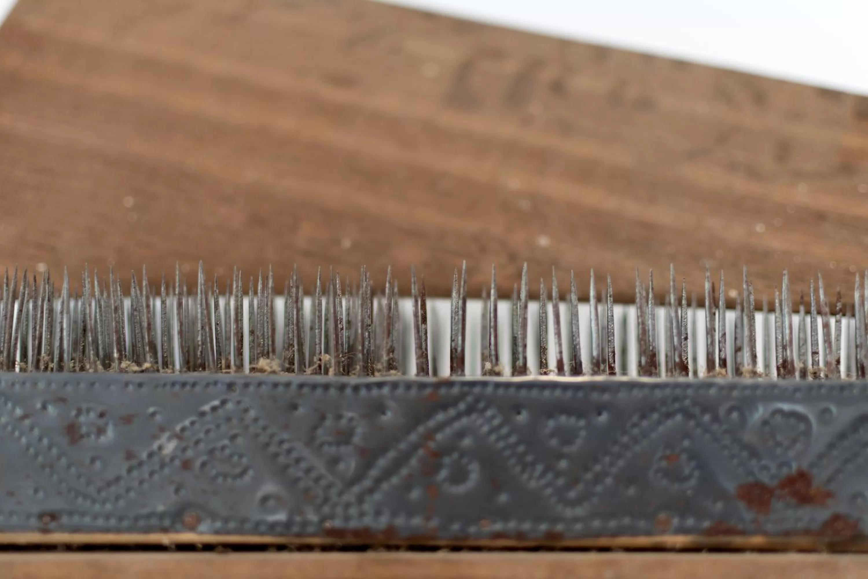 Decorative detail in Hotel da Fábrica