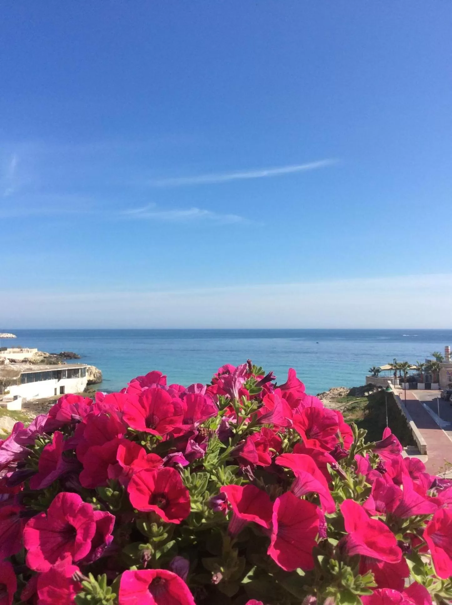 Balcony/Terrace in Bellariva Monopoli B&B e Relax