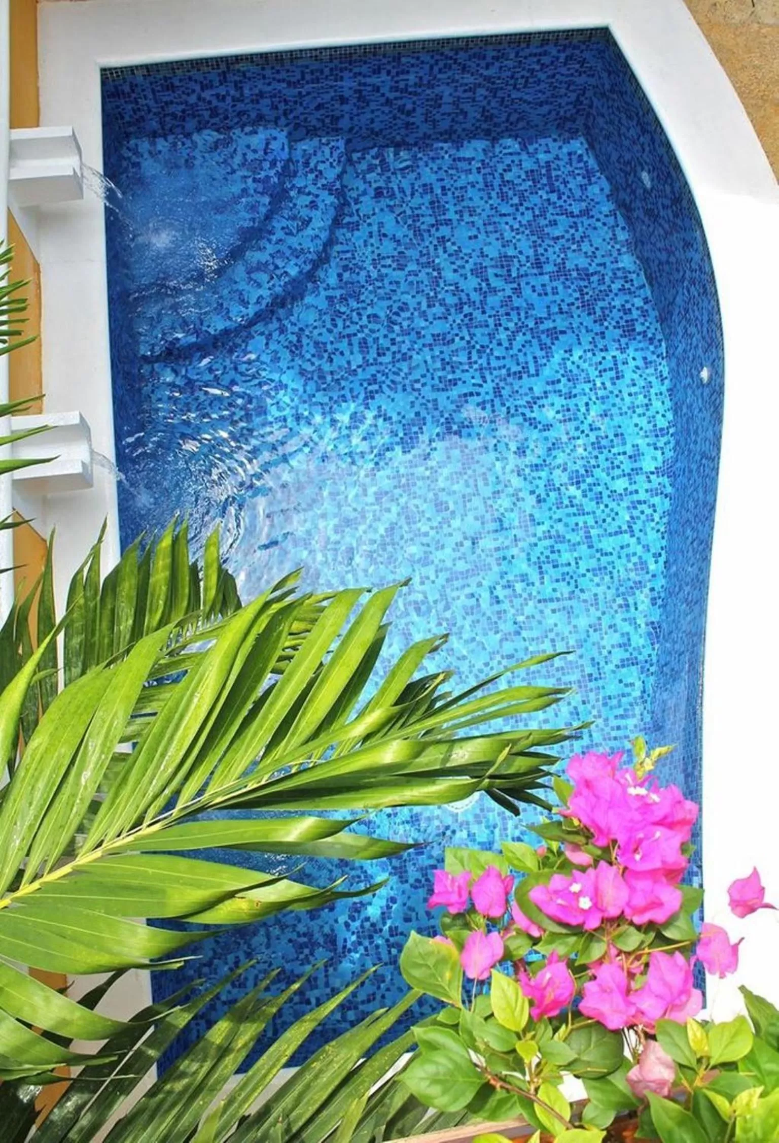 Swimming Pool in Hotel Casa Gloria Boutique