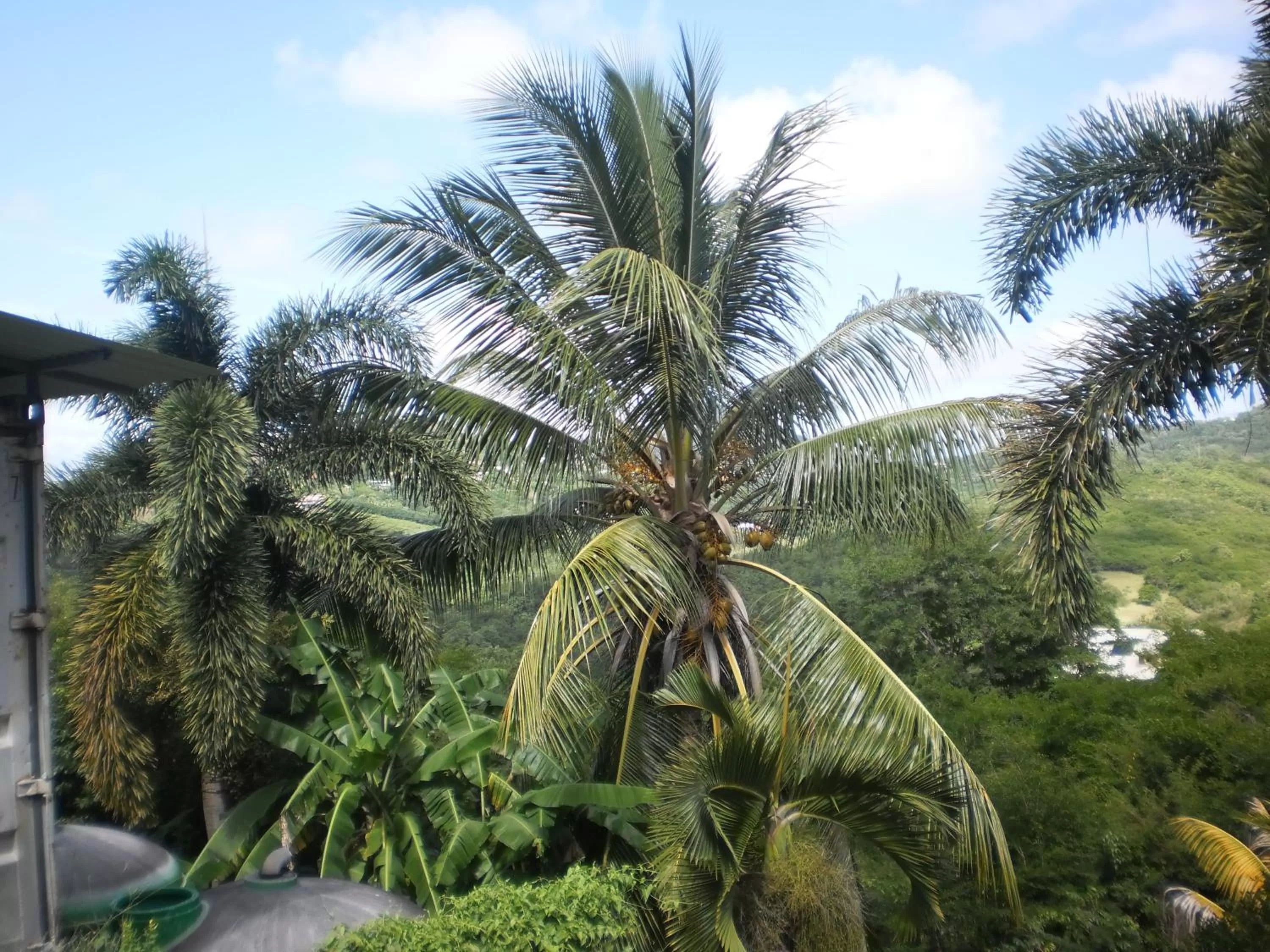 Day in Bed and breakfast Riviere