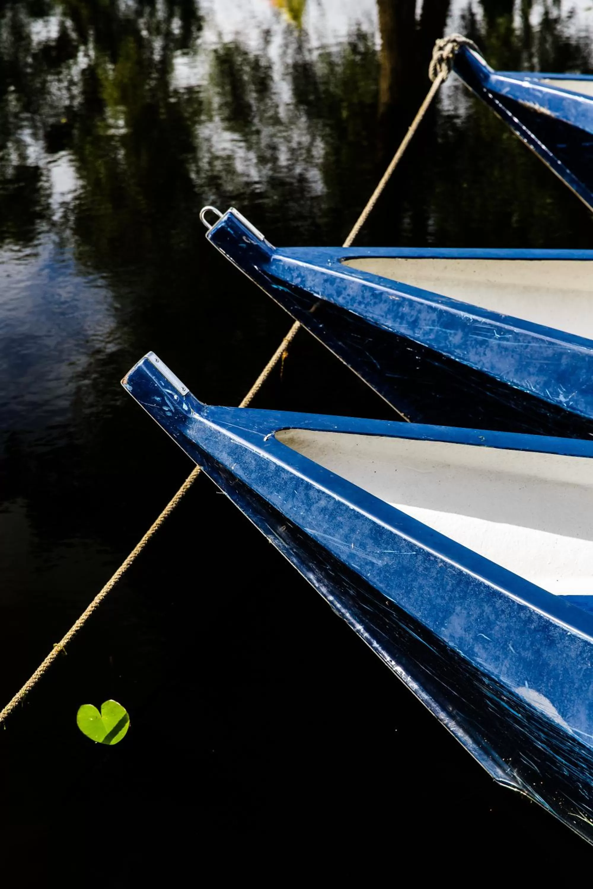 Day in De Dames Van De Jonge Hotel Restaurant