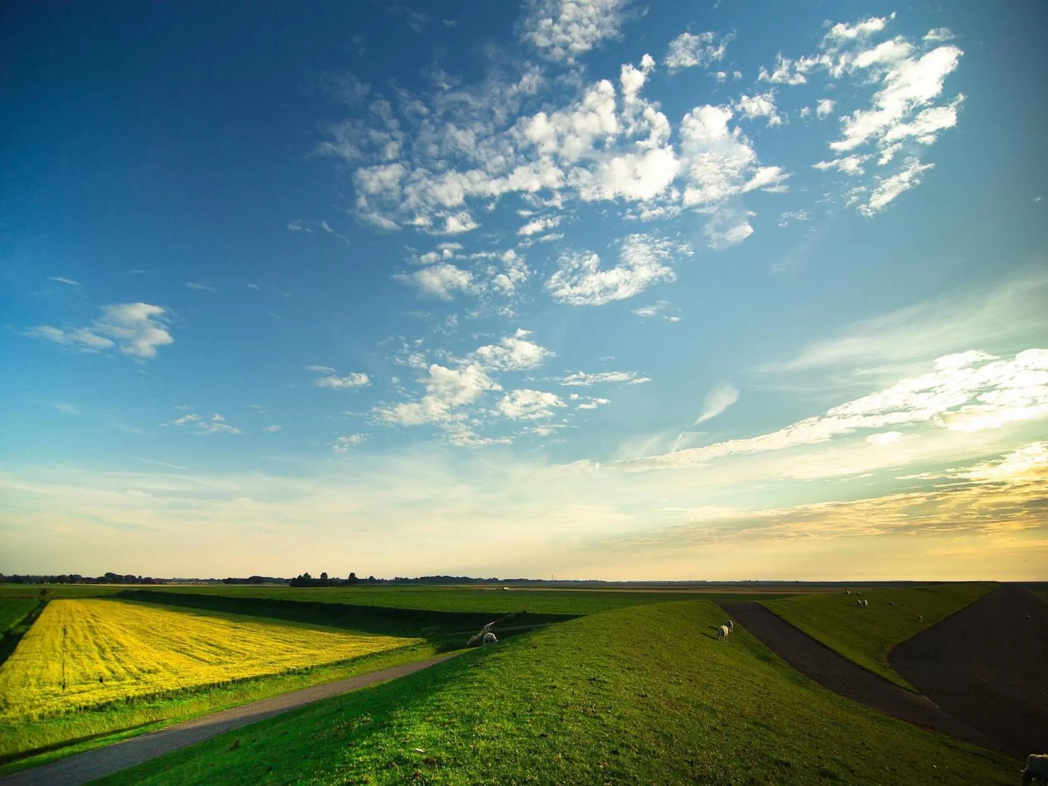 Area and facilities in Bed and Breakfast Batenborg