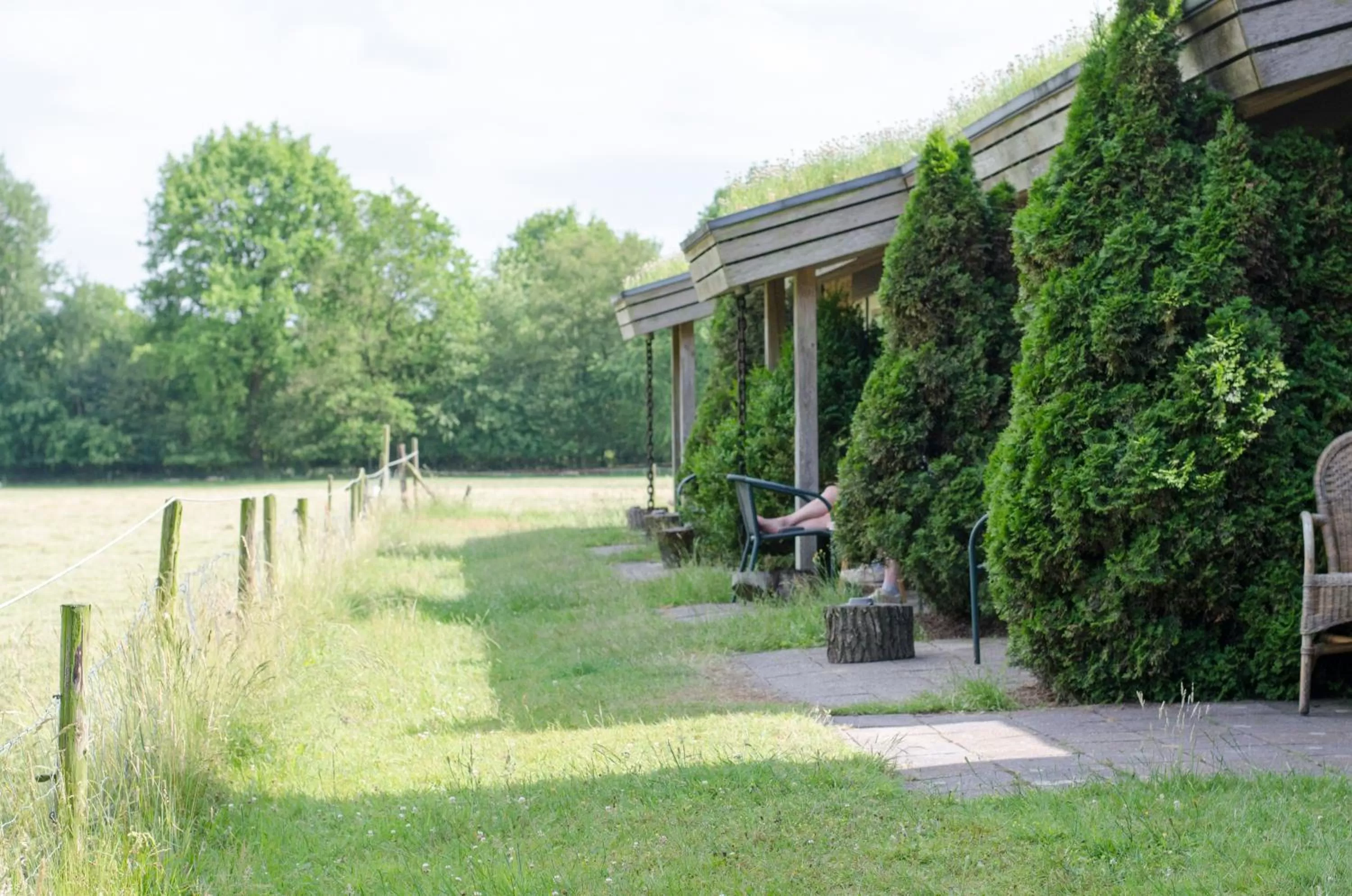 Natural landscape in Landhotel Diever