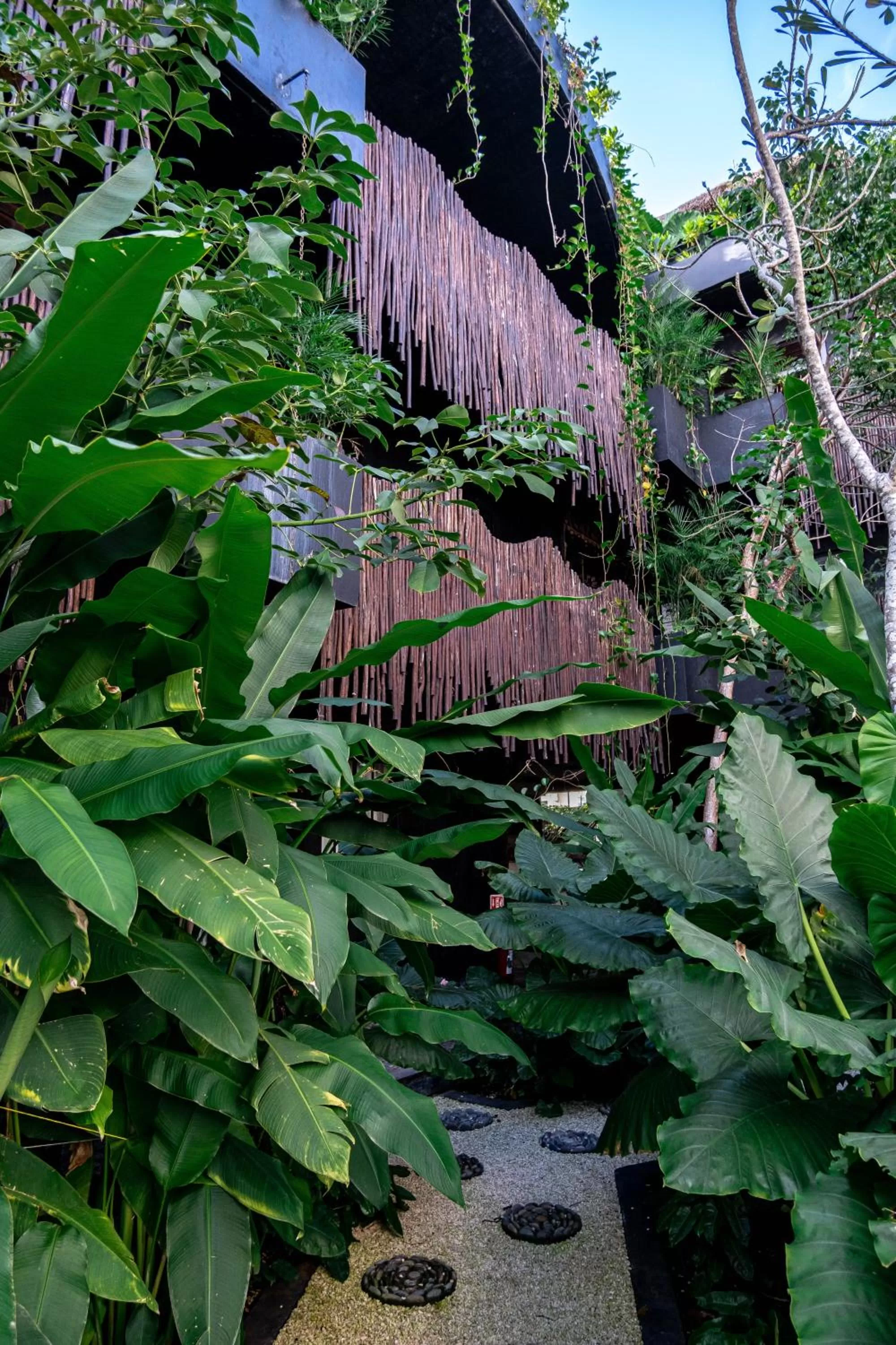Garden in Maka Hotel Boutique