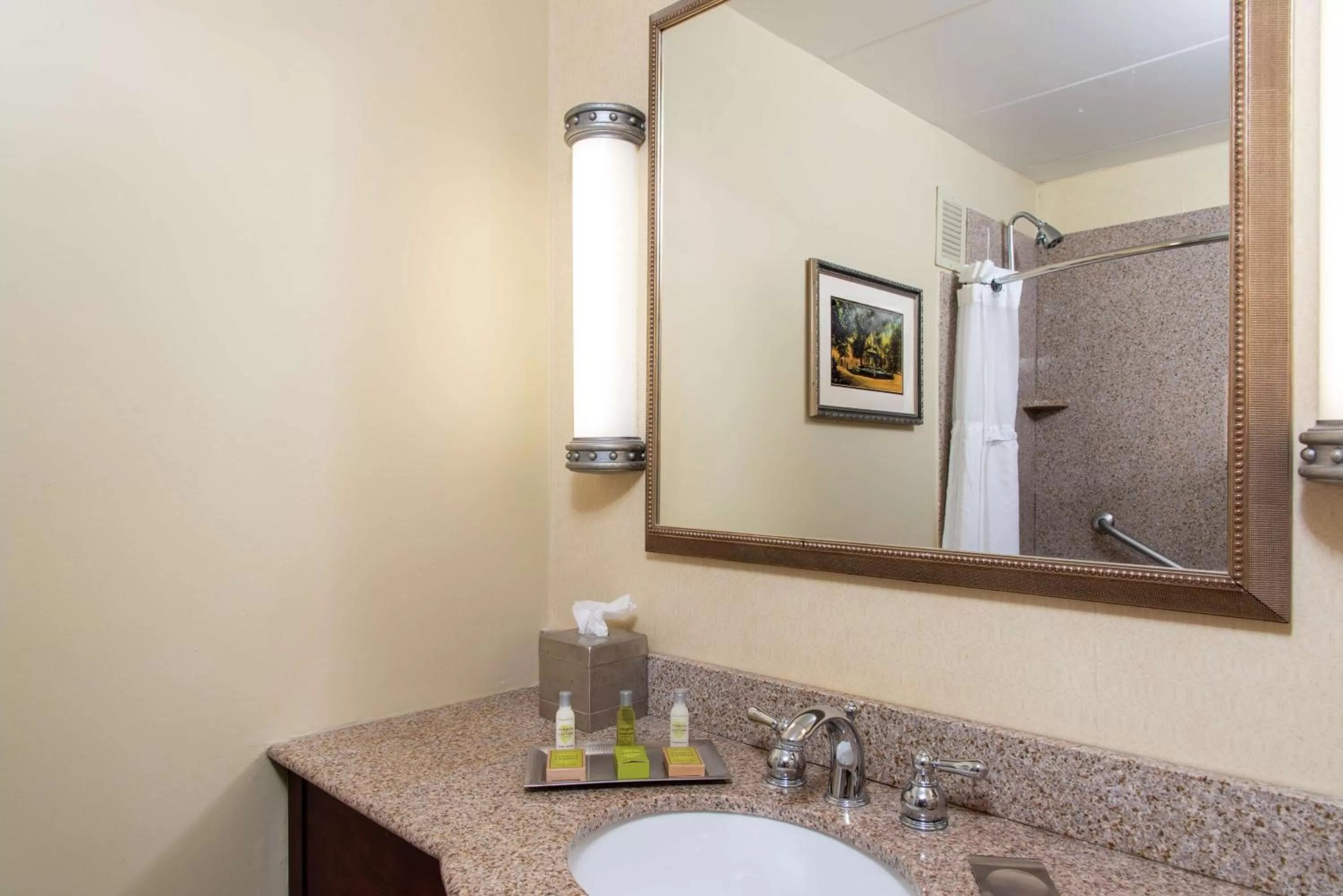 Bathroom in DoubleTree by Hilton Hotel Grand Rapids Airport