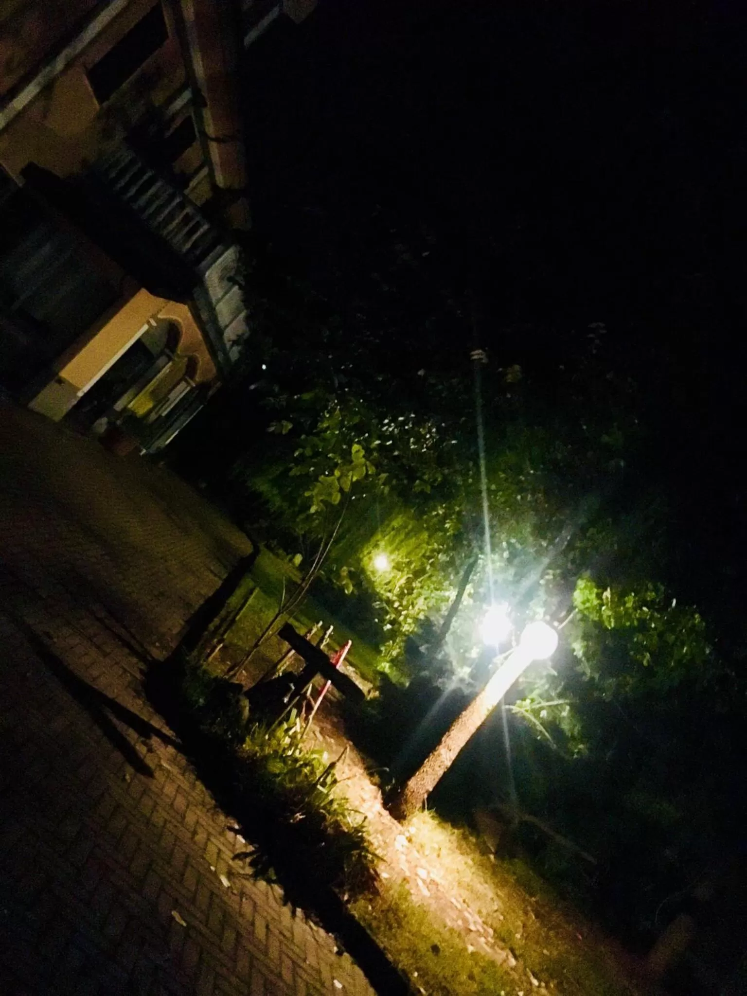 Rossella alla Villarella dei Tulipani