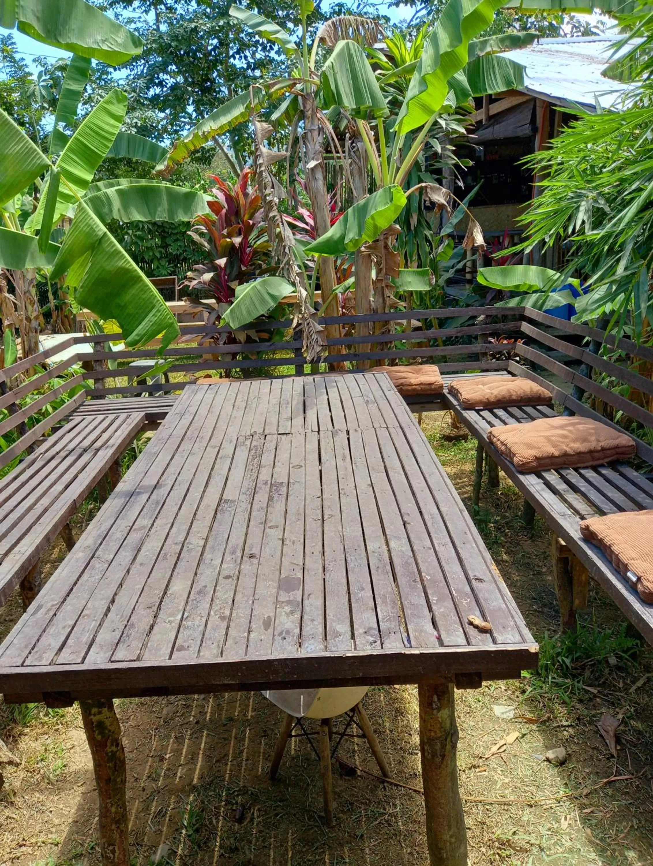 Banana Grove El Nido