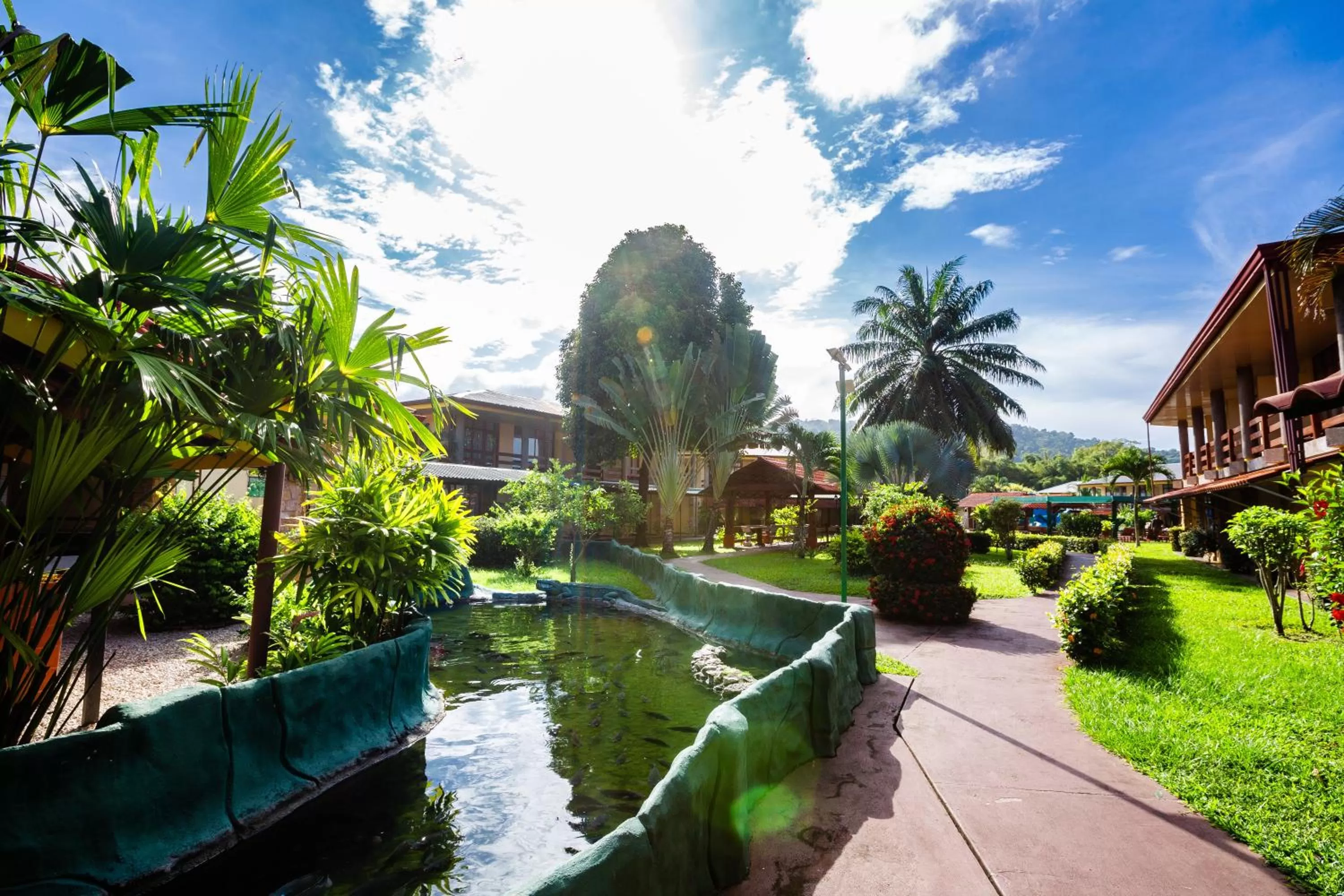 Garden view in Amapola Resort