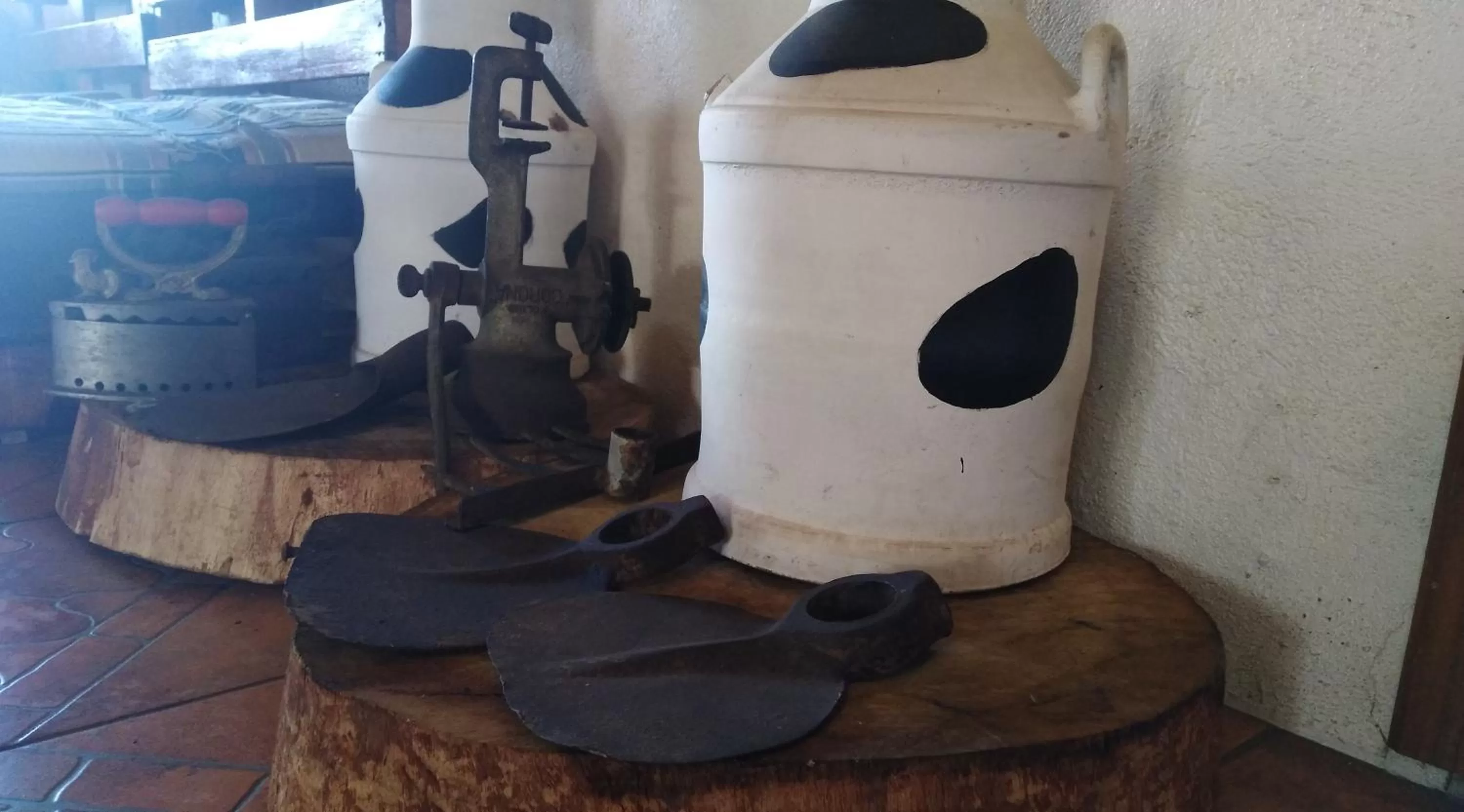 Ruta de los volcanes "Casa de campo"