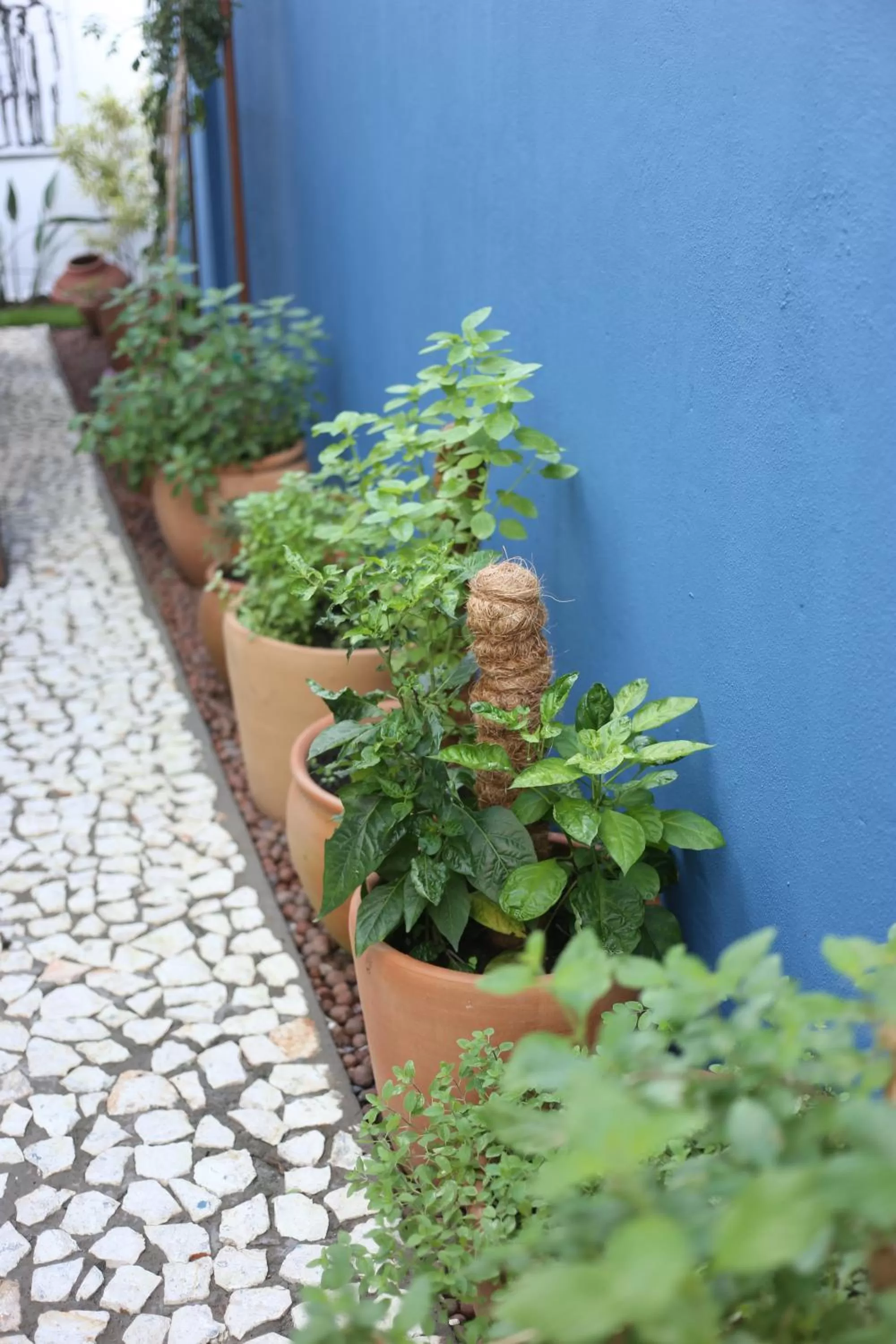 Garden in Green 53 Boutique Hotel