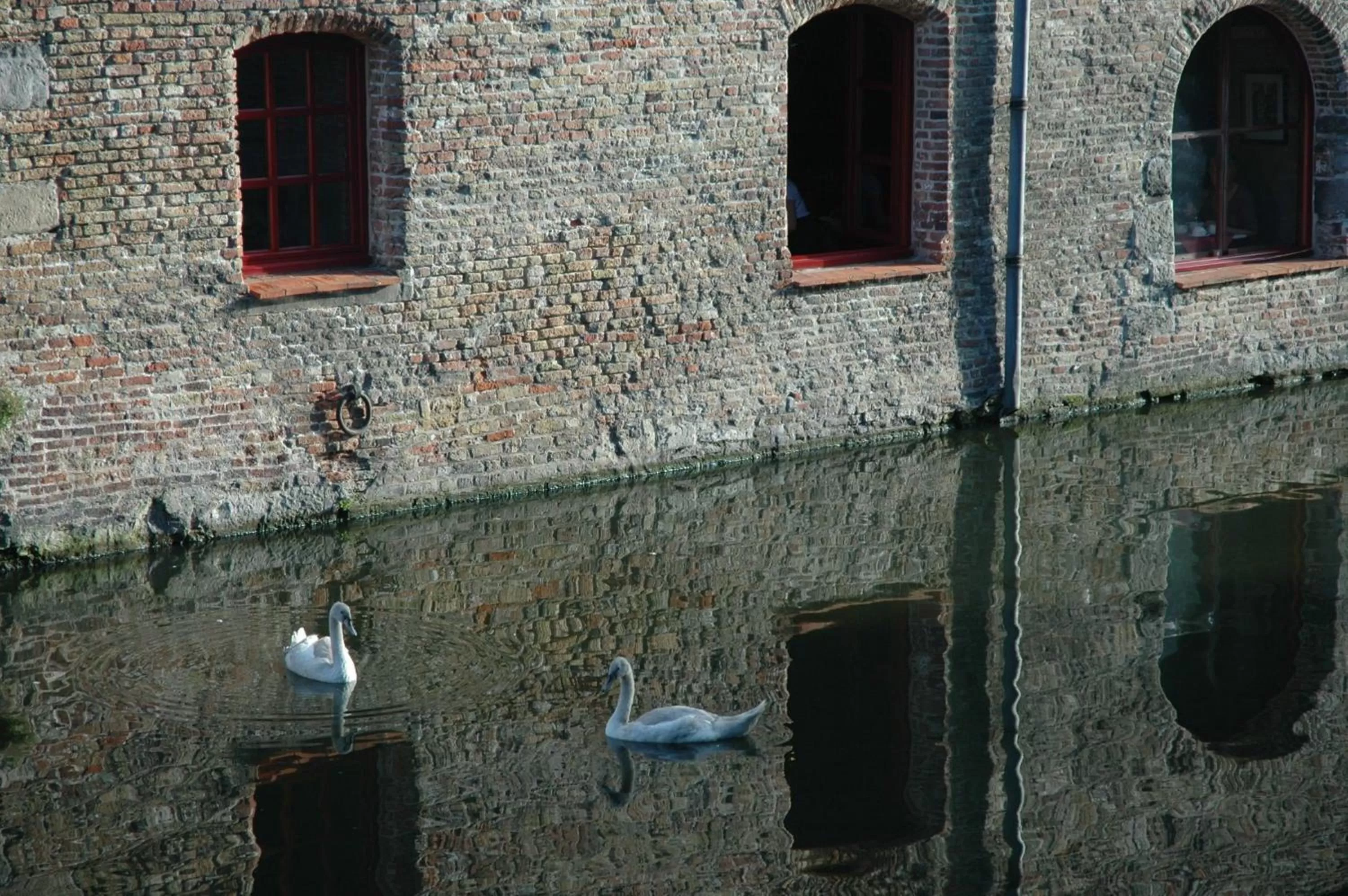 Area and facilities in Canal View Hotel Ter Brughe by CW Hotel Collection