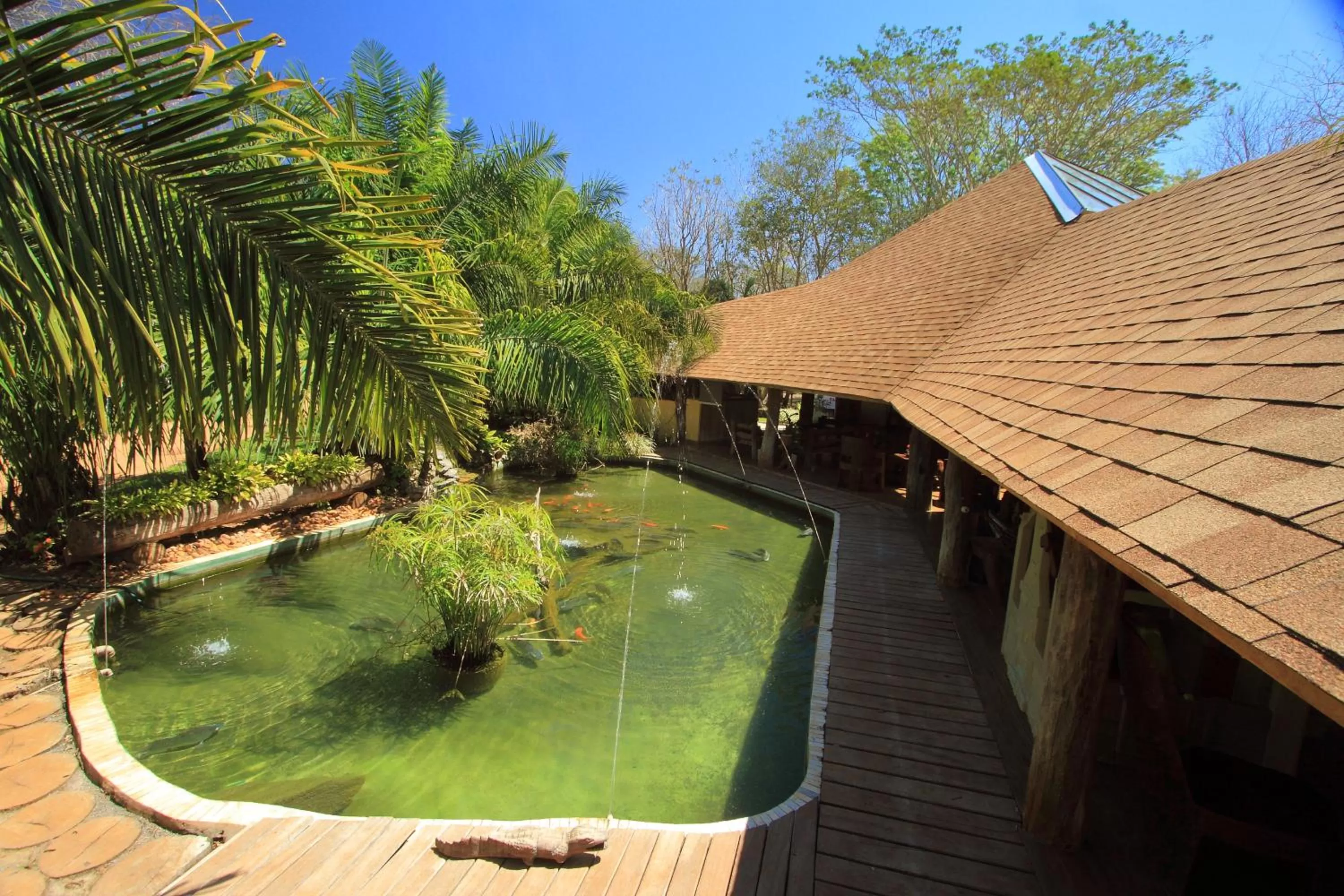 Garden view in Hotel Cabanas